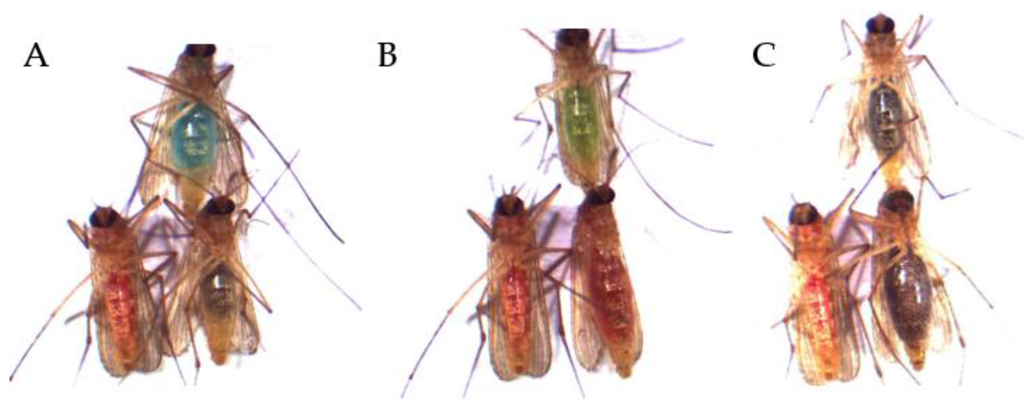 Insects 13 00993 g005 Insects 13 00993 g005