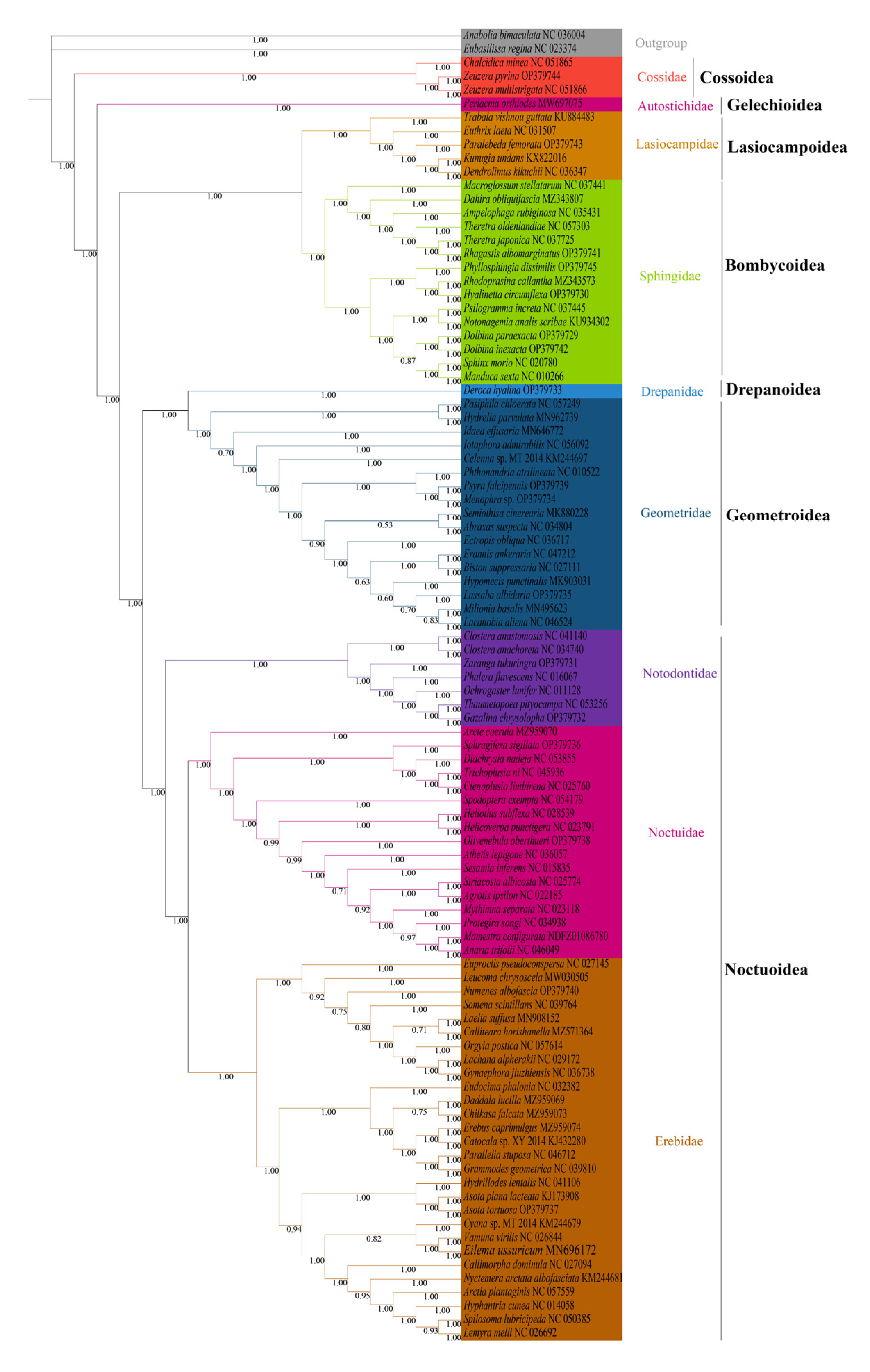 Insects 13 00998 g007 Insects 13 00998 g007