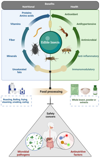 Beyond Human Nutrition of Edible Insects ... Biology Diagrams