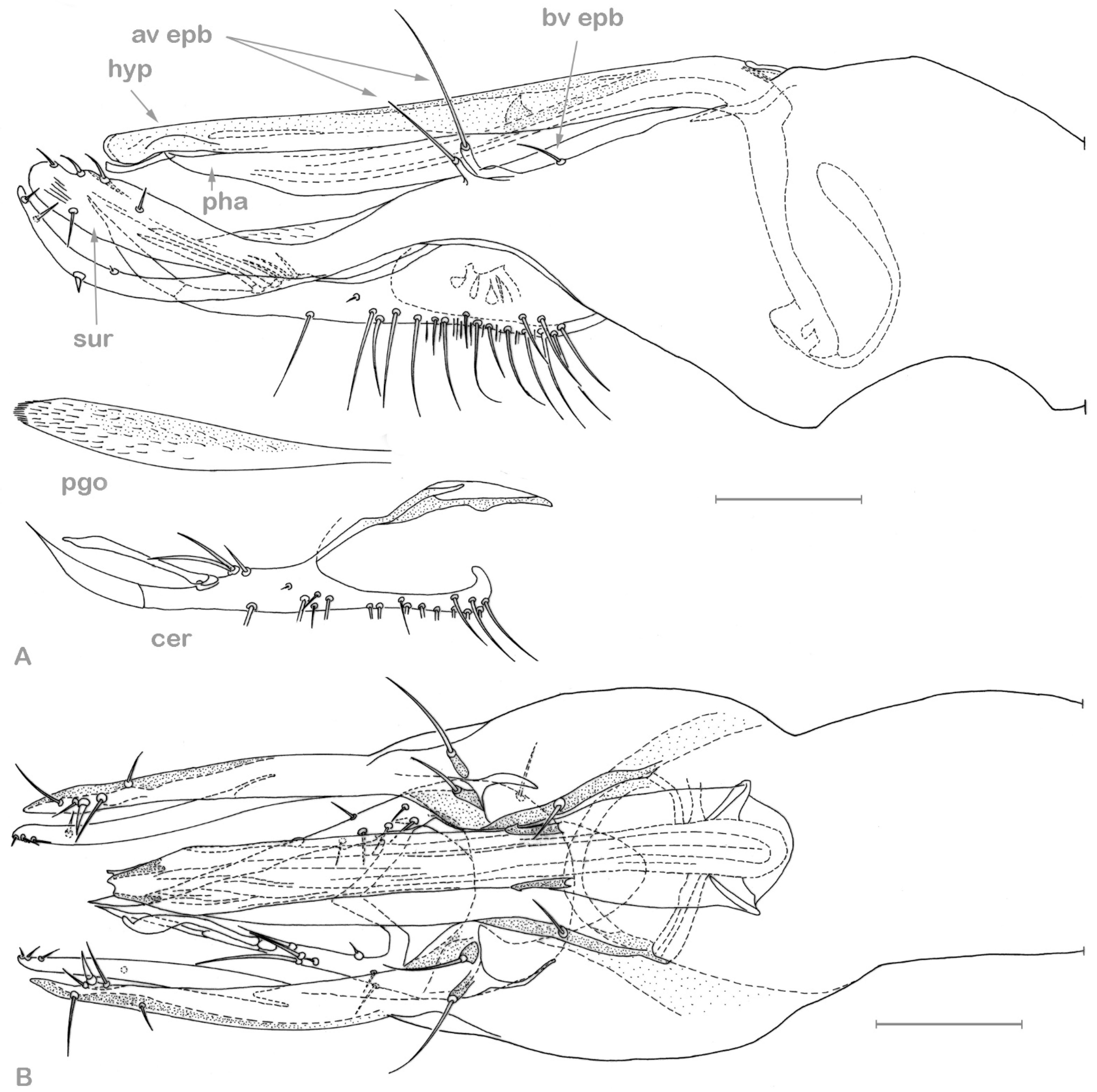 Insects 13 01012 g004