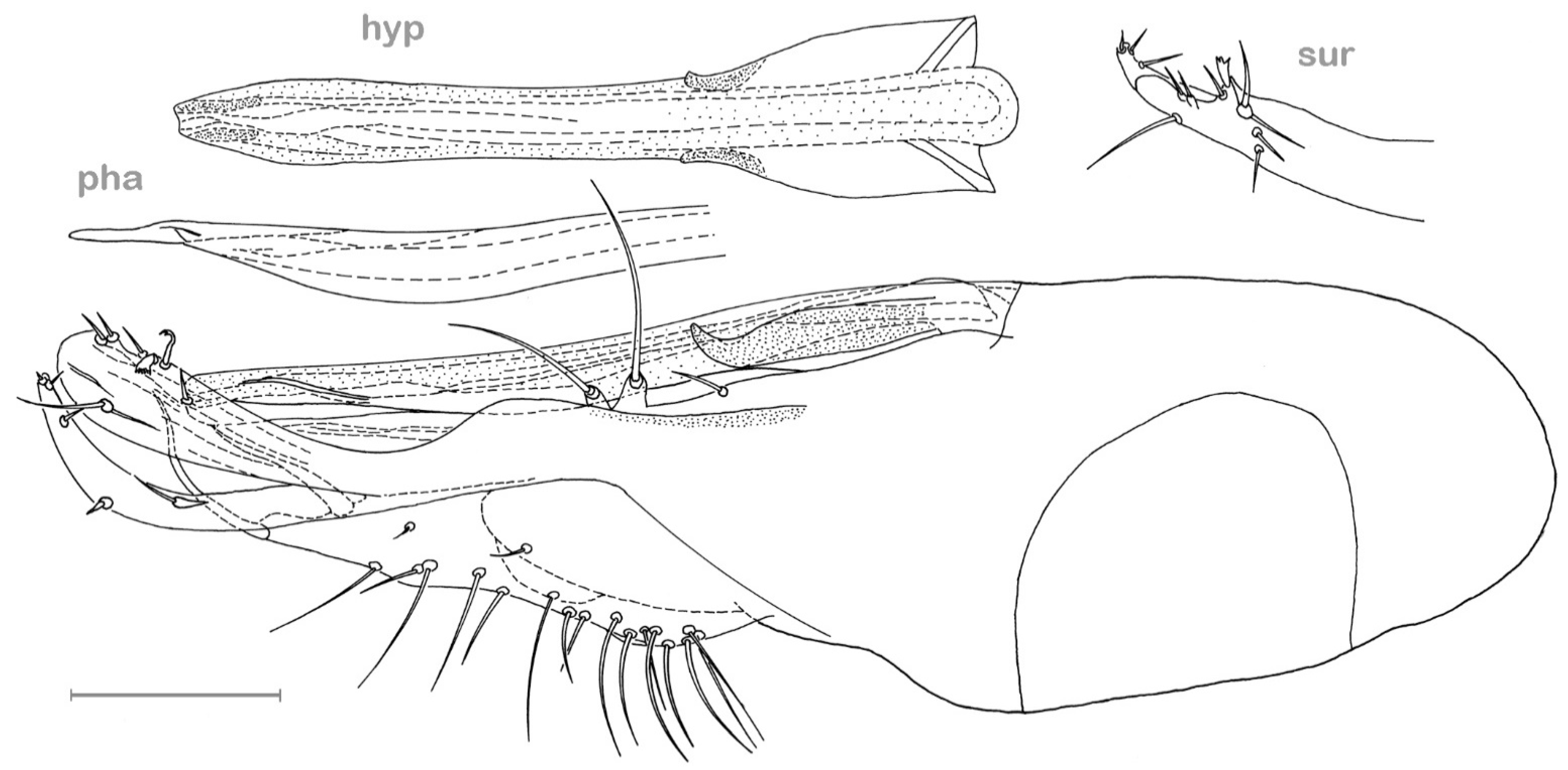 Insects 13 01012 g005