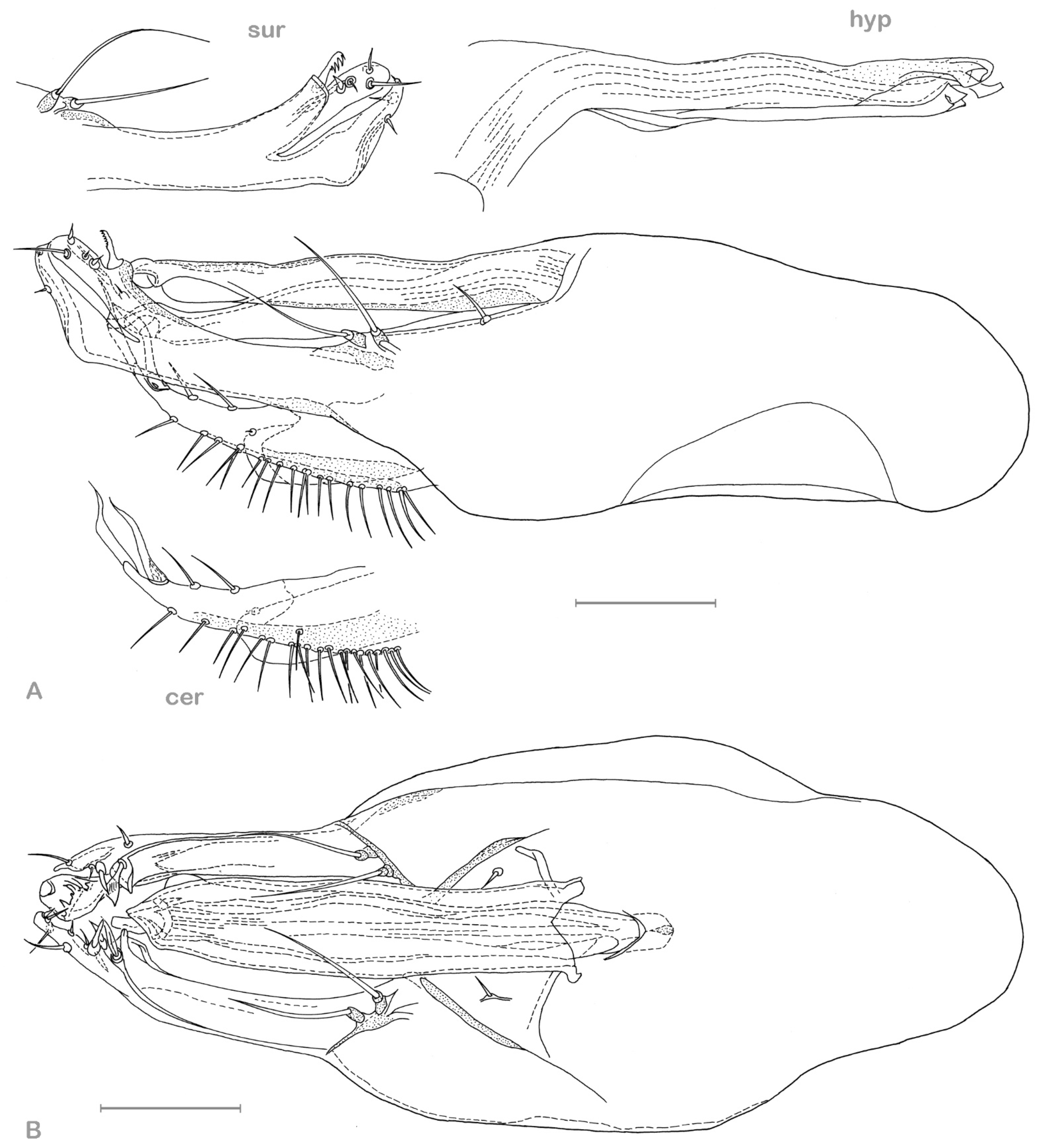 Insects 13 01012 g009