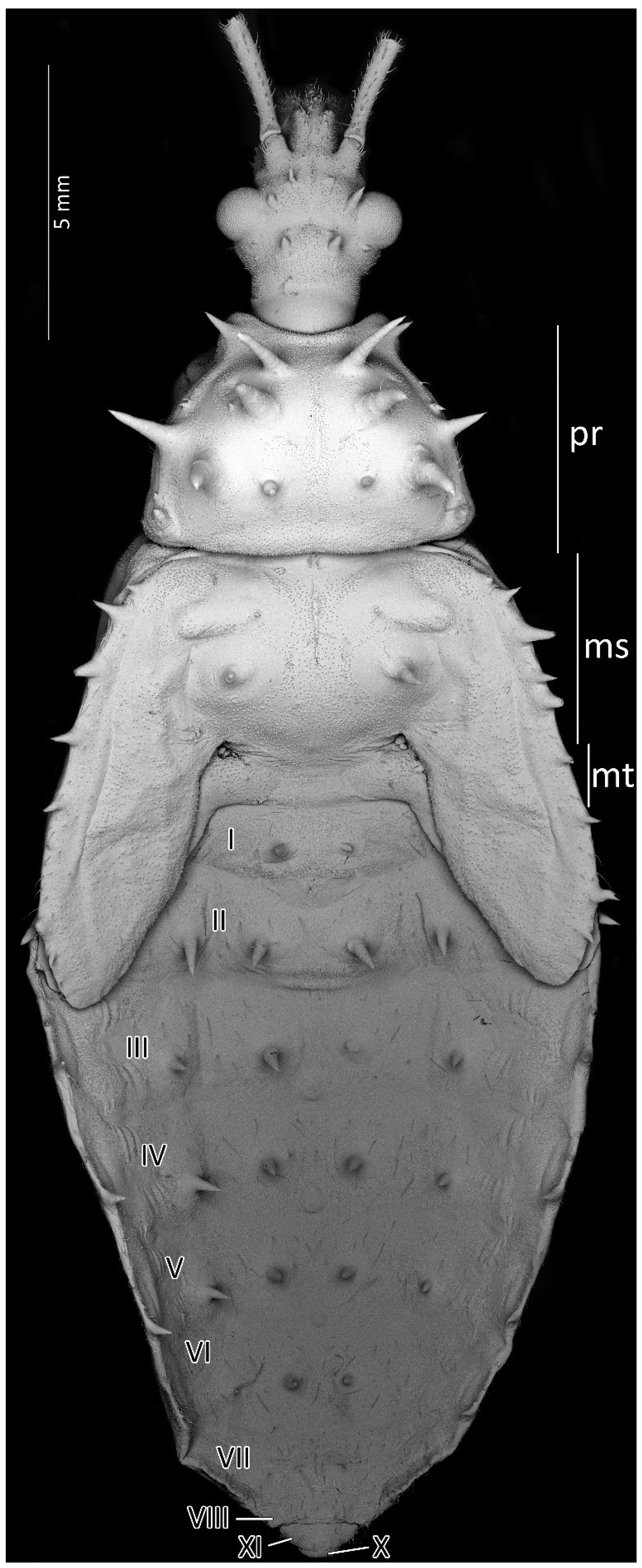 Insects 13 01014 g014