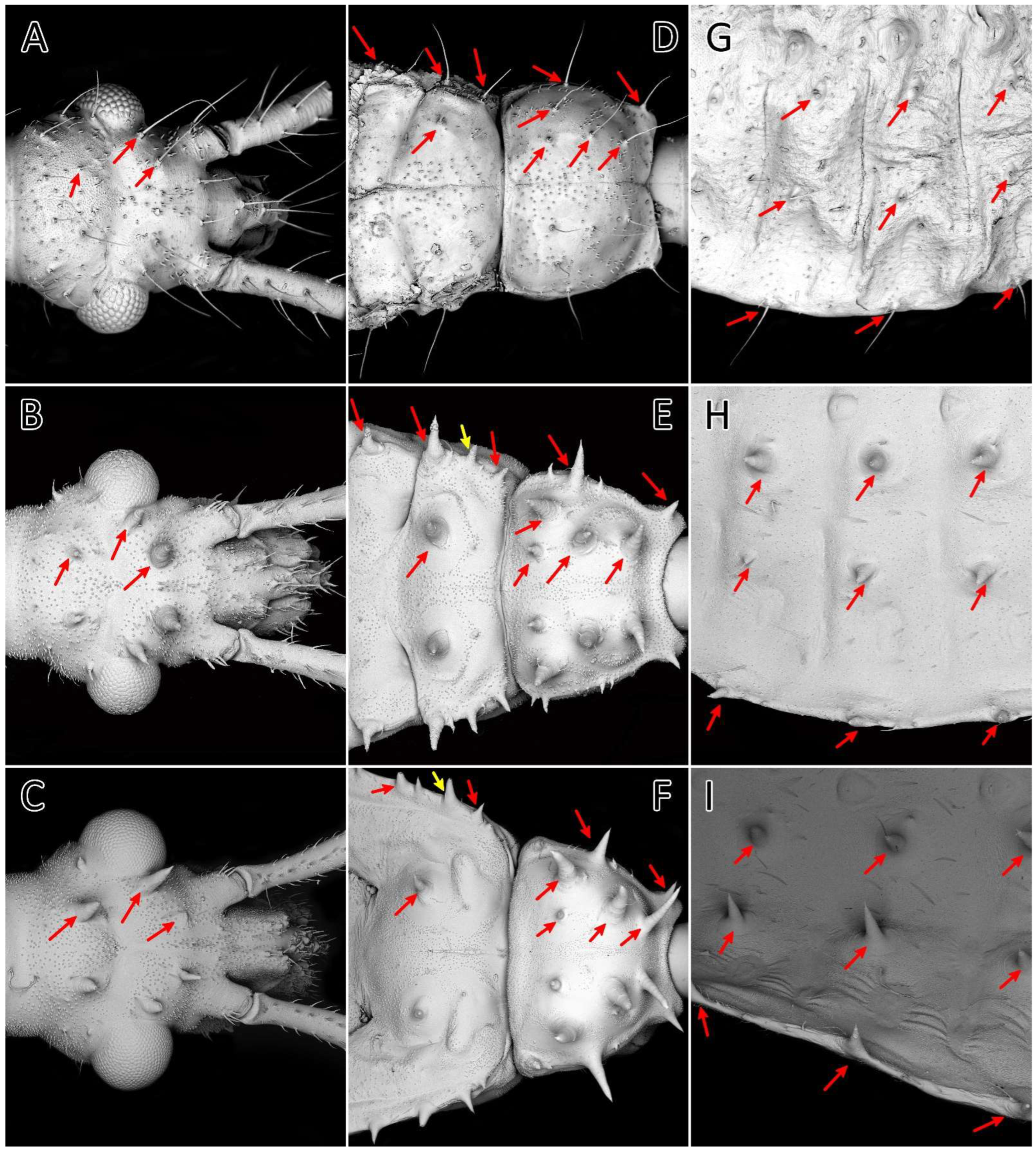 Insects 13 01014 g015