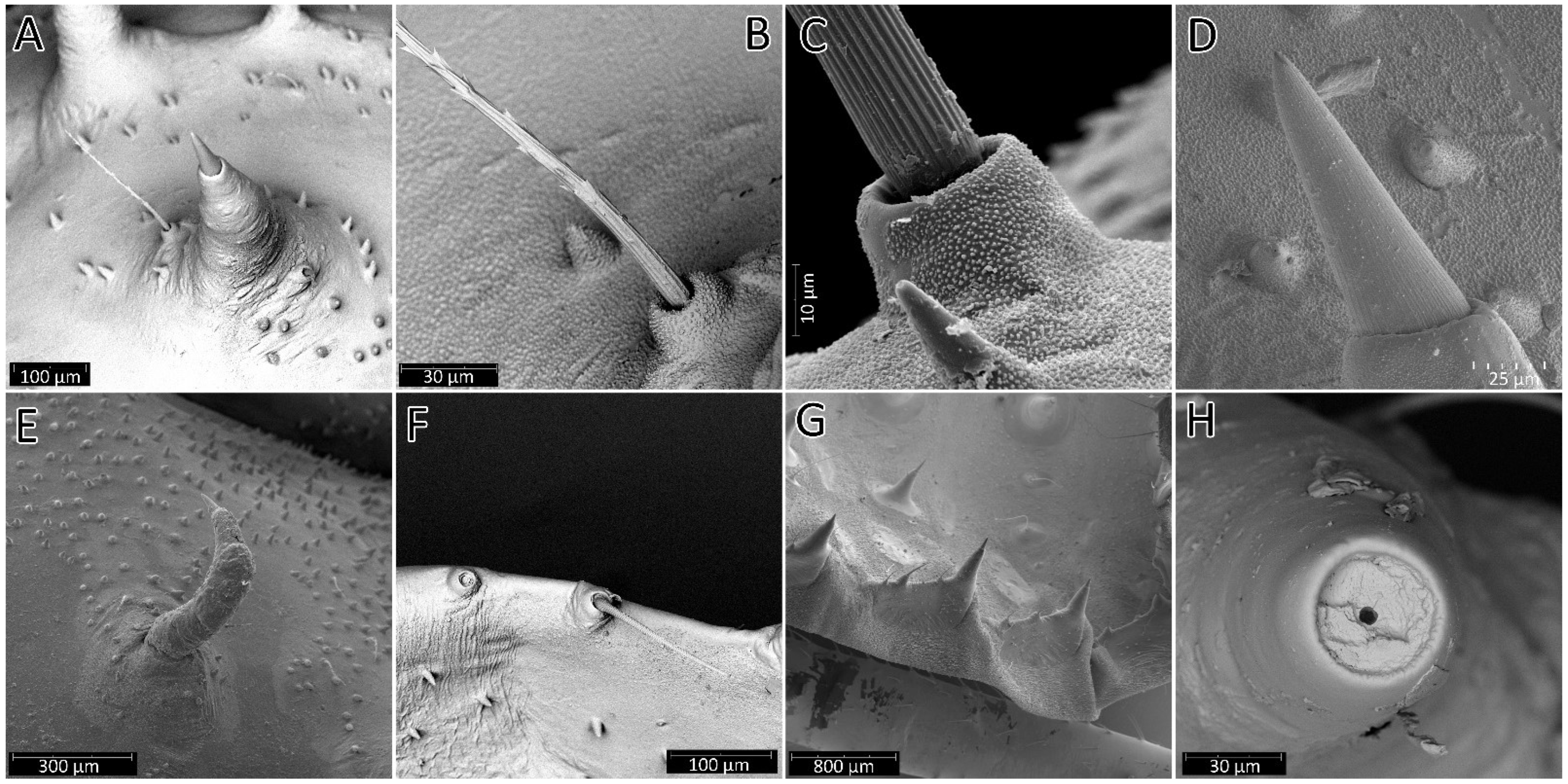 Insects 13 01014 g016