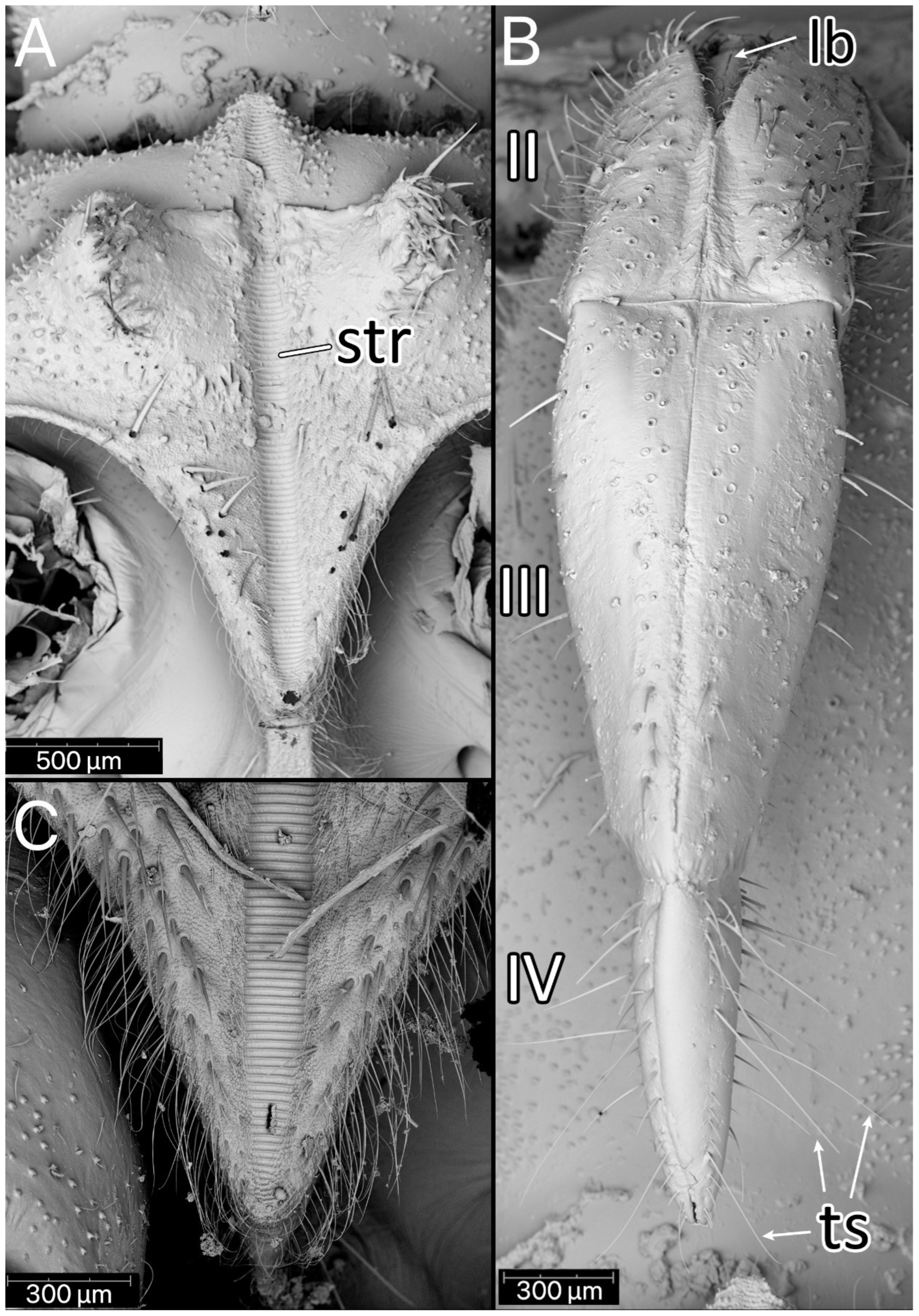 Insects 13 01014 g019