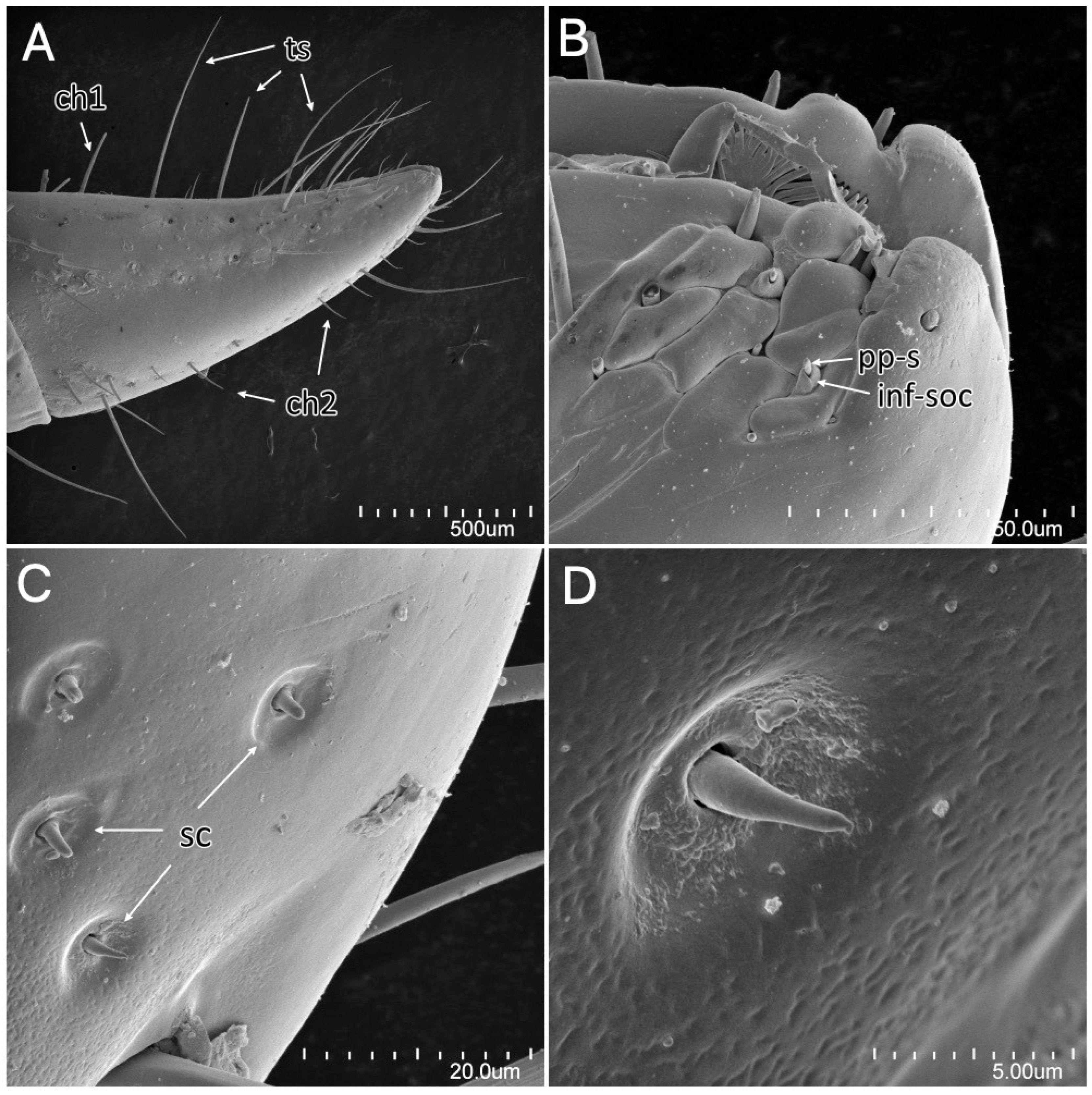 Insects 13 01014 g021
