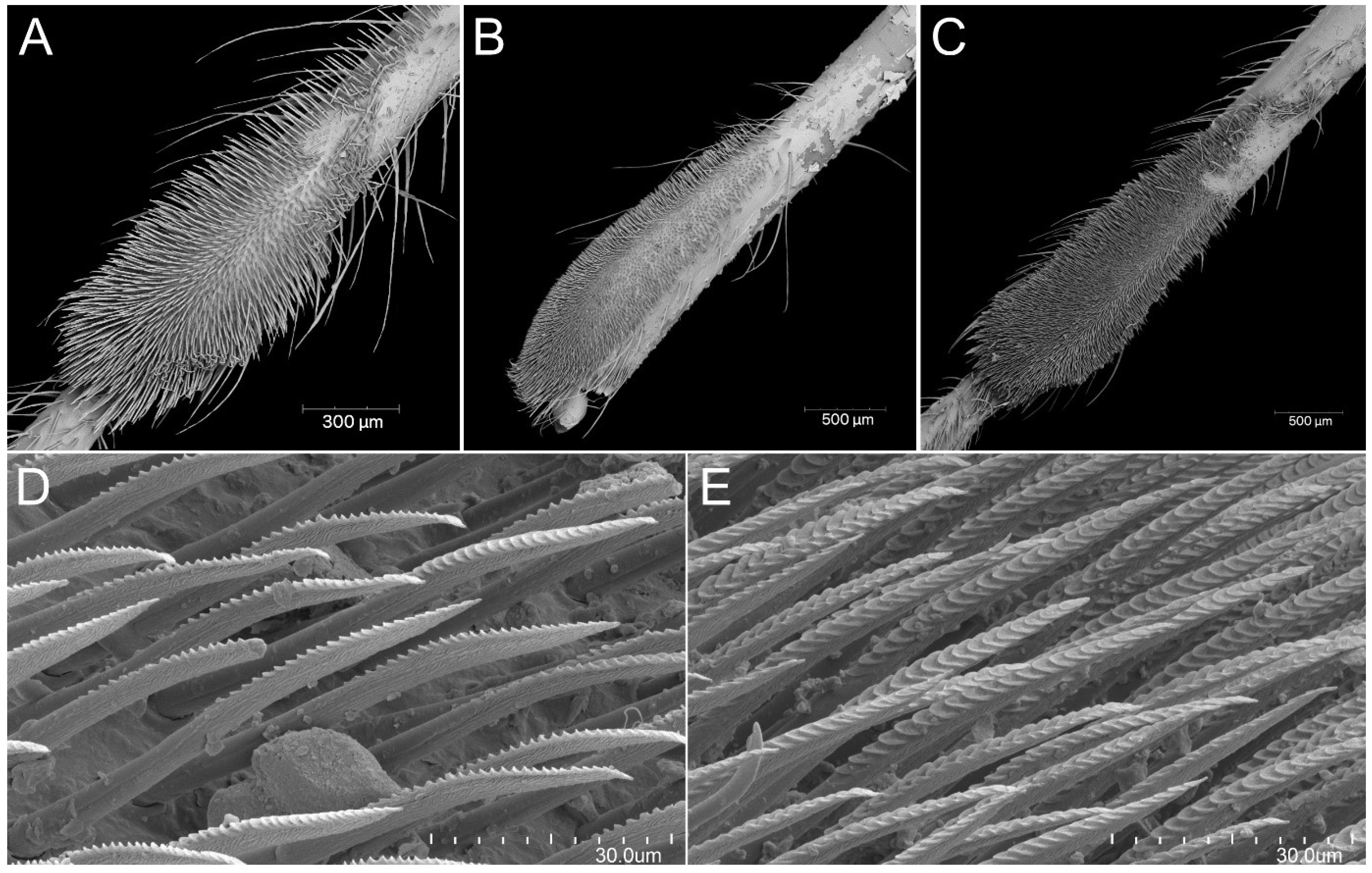 Insects 13 01014 g024