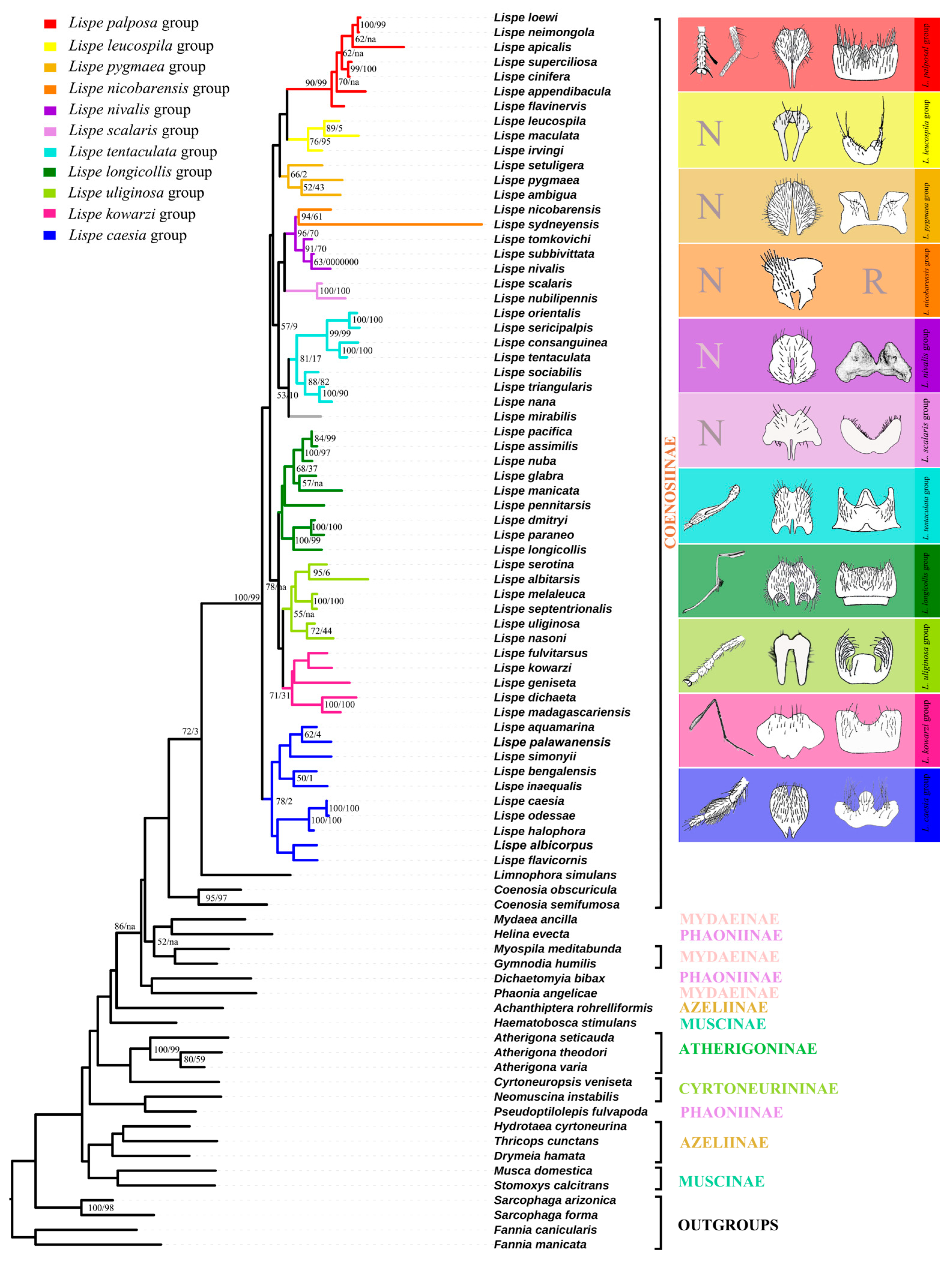 Insects 13 01015 g002 Insects 13 01015 g002