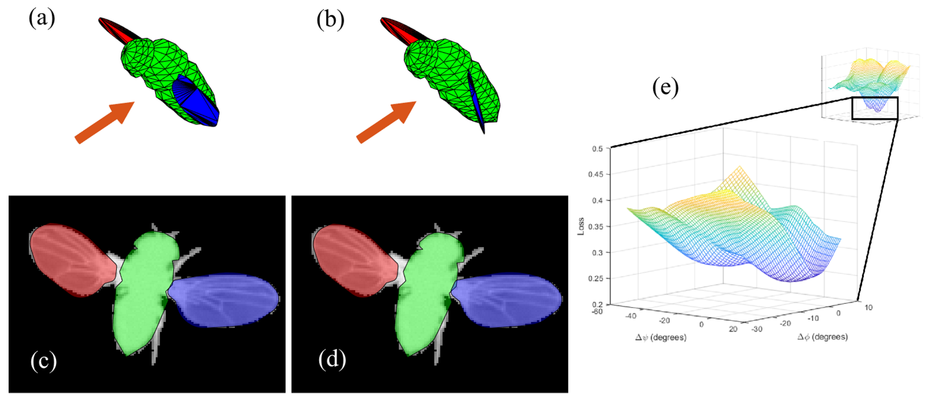 Insects 13 01018 g006