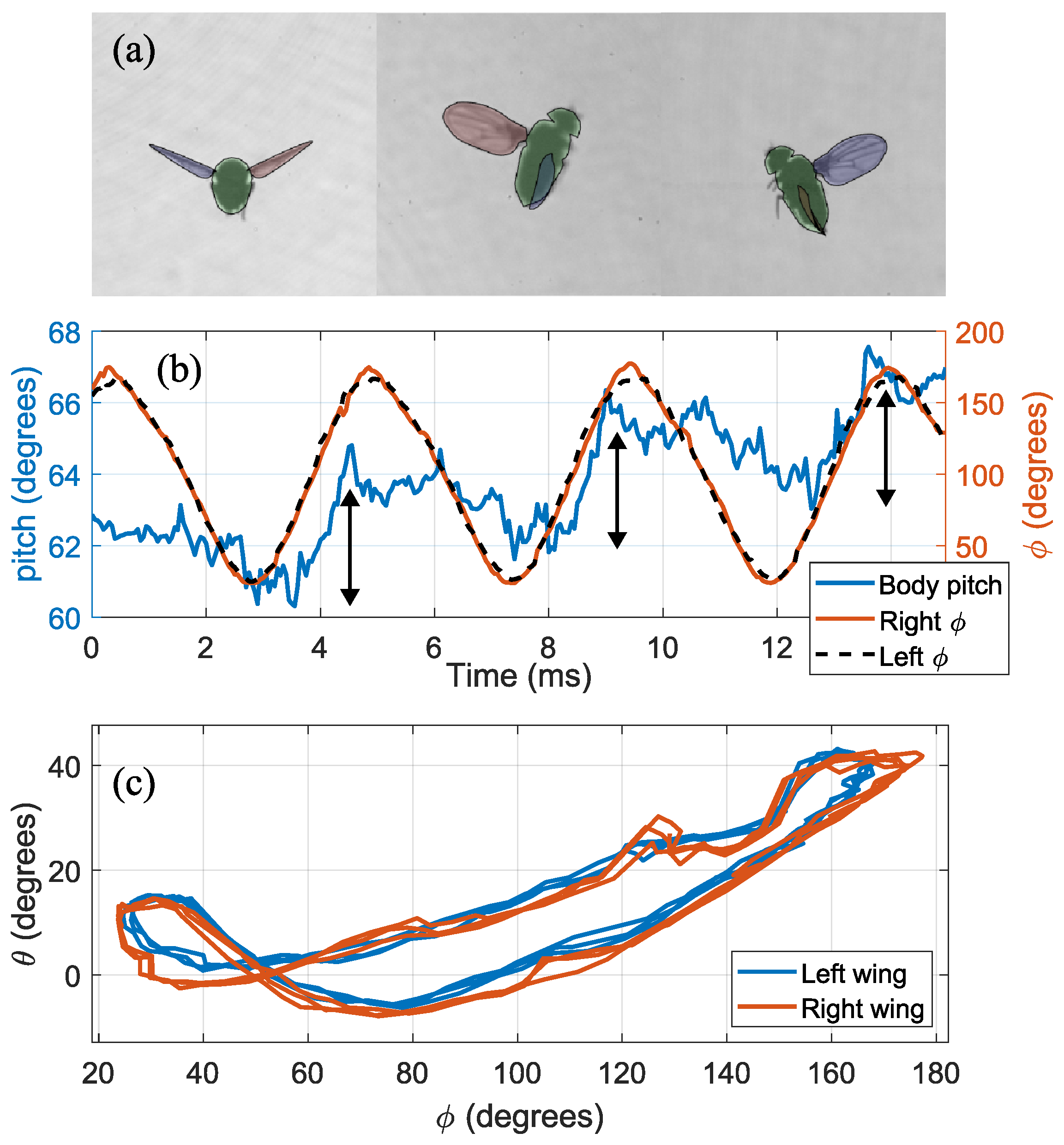 Insects 13 01018 g009