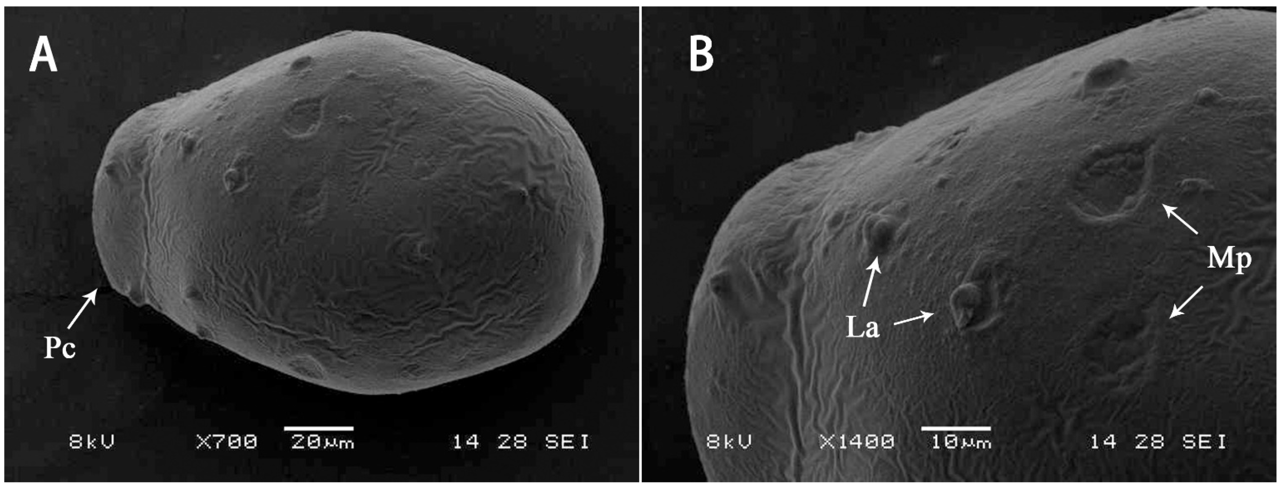 Insects 13 01019 g007