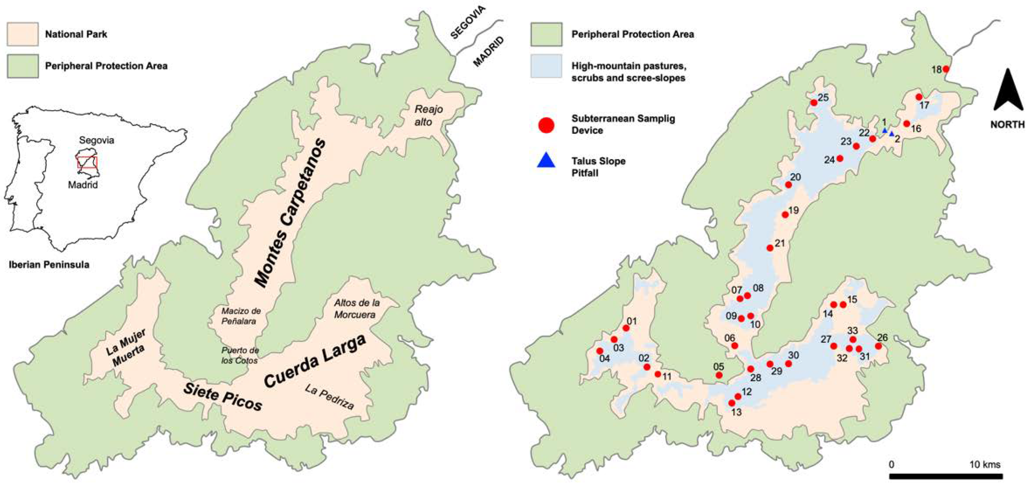 Insects 13 01025 g001