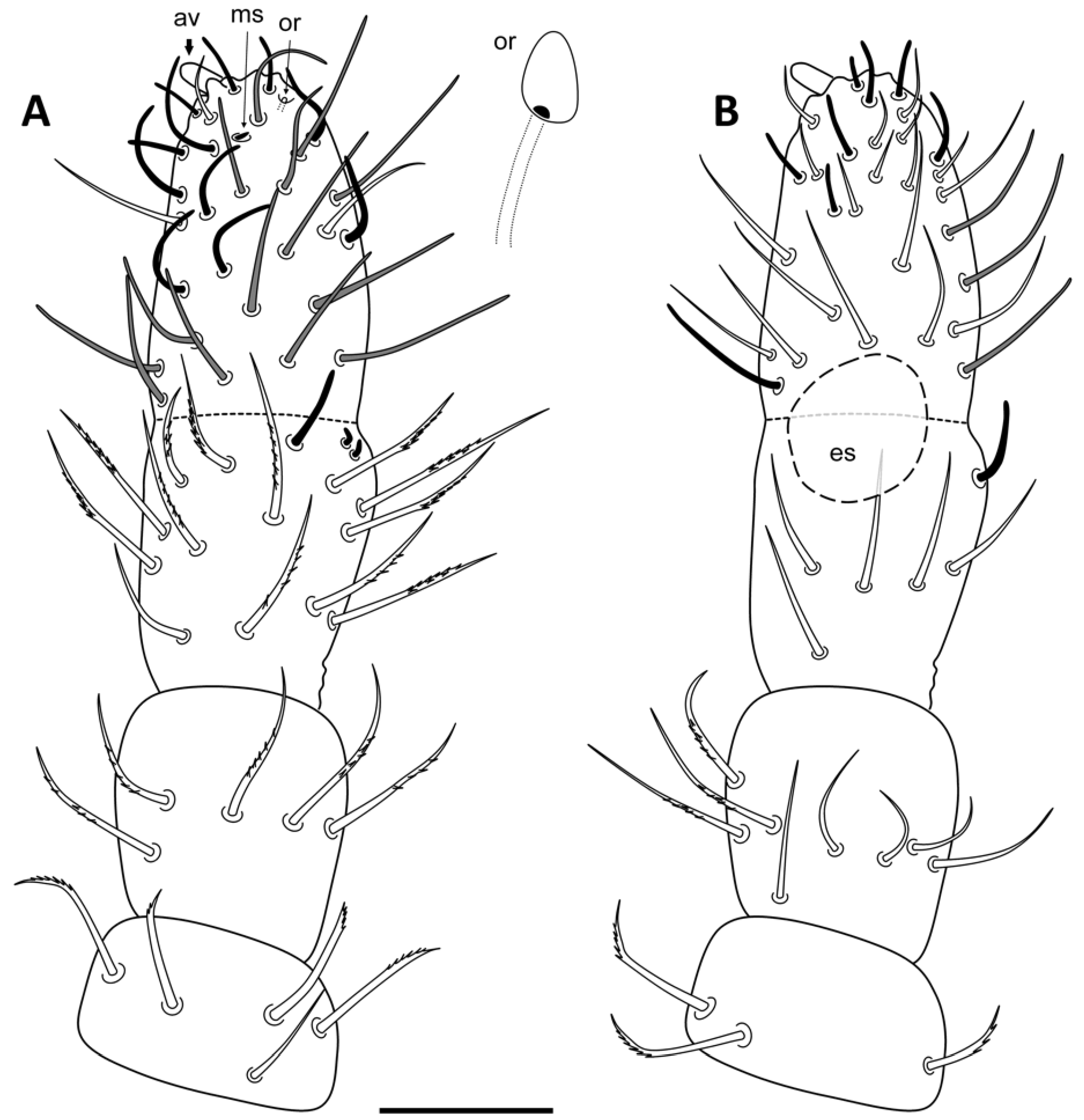 Insects 13 01025 g002