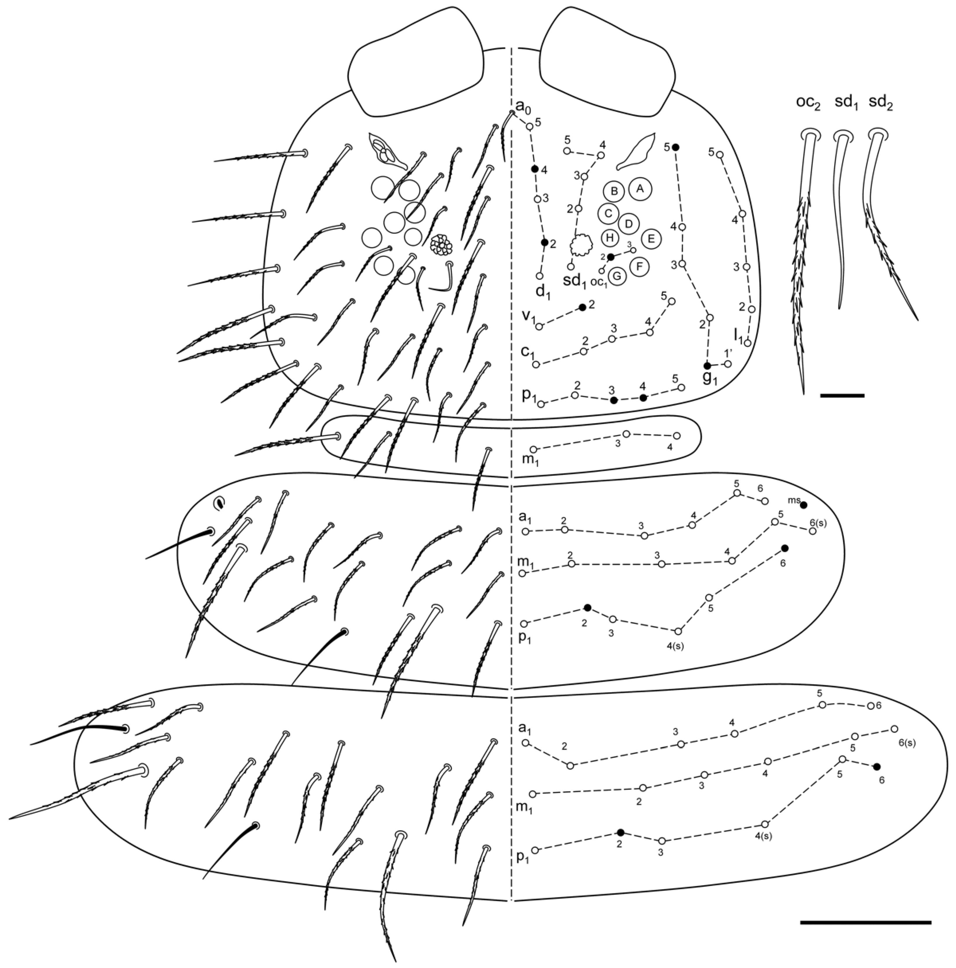 Insects 13 01025 g005