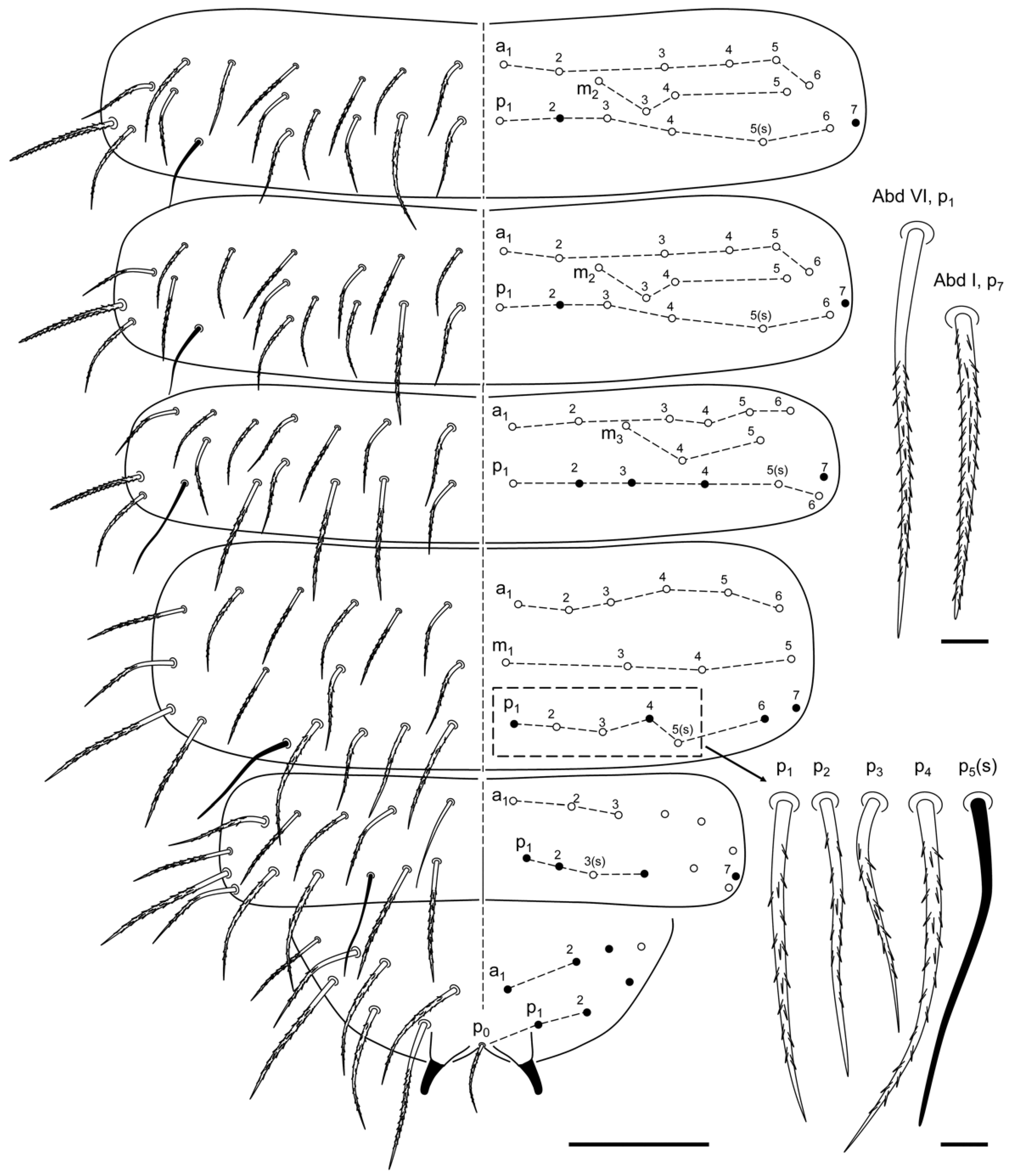 Insects 13 01025 g006
