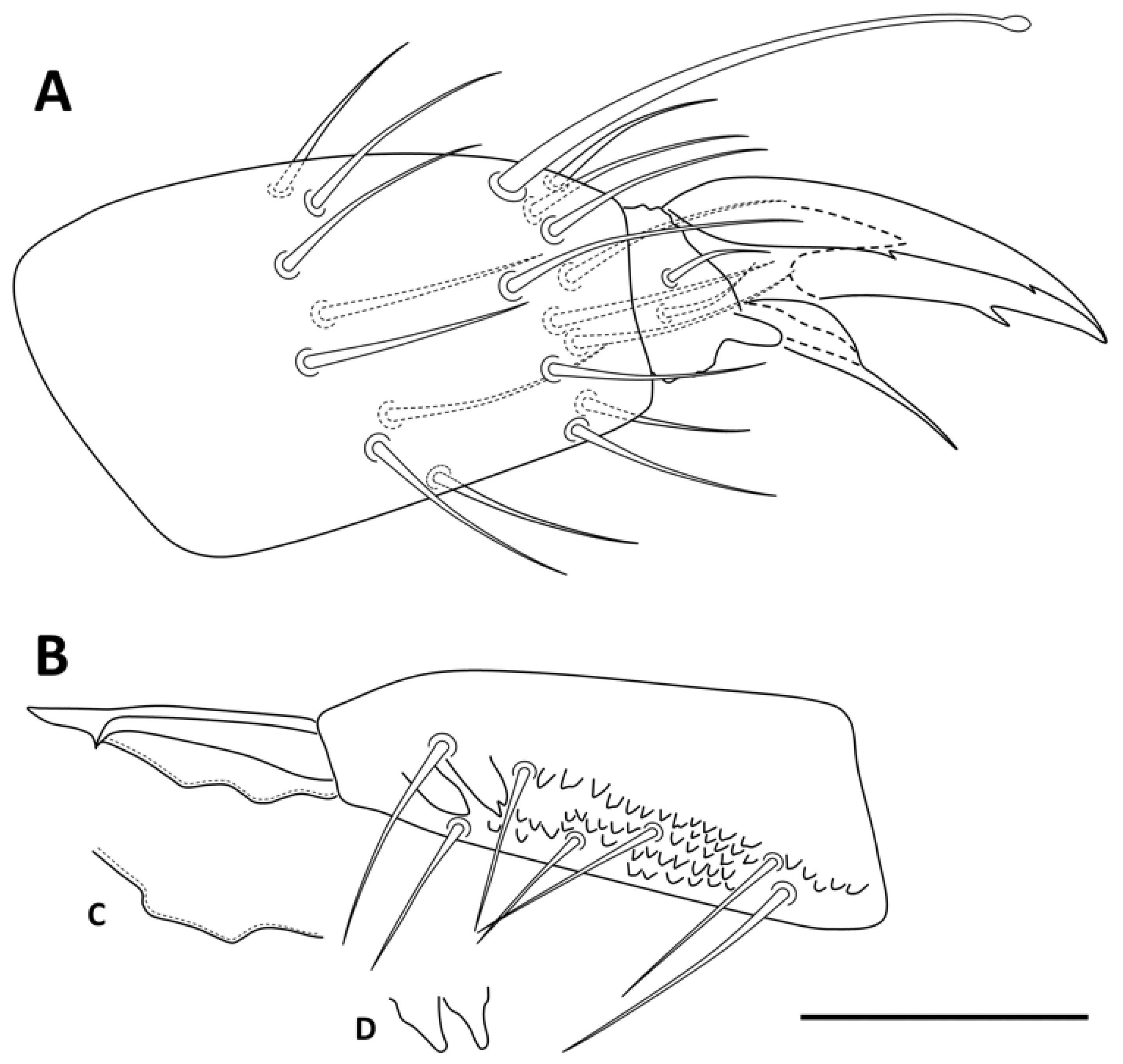 Insects 13 01025 g007