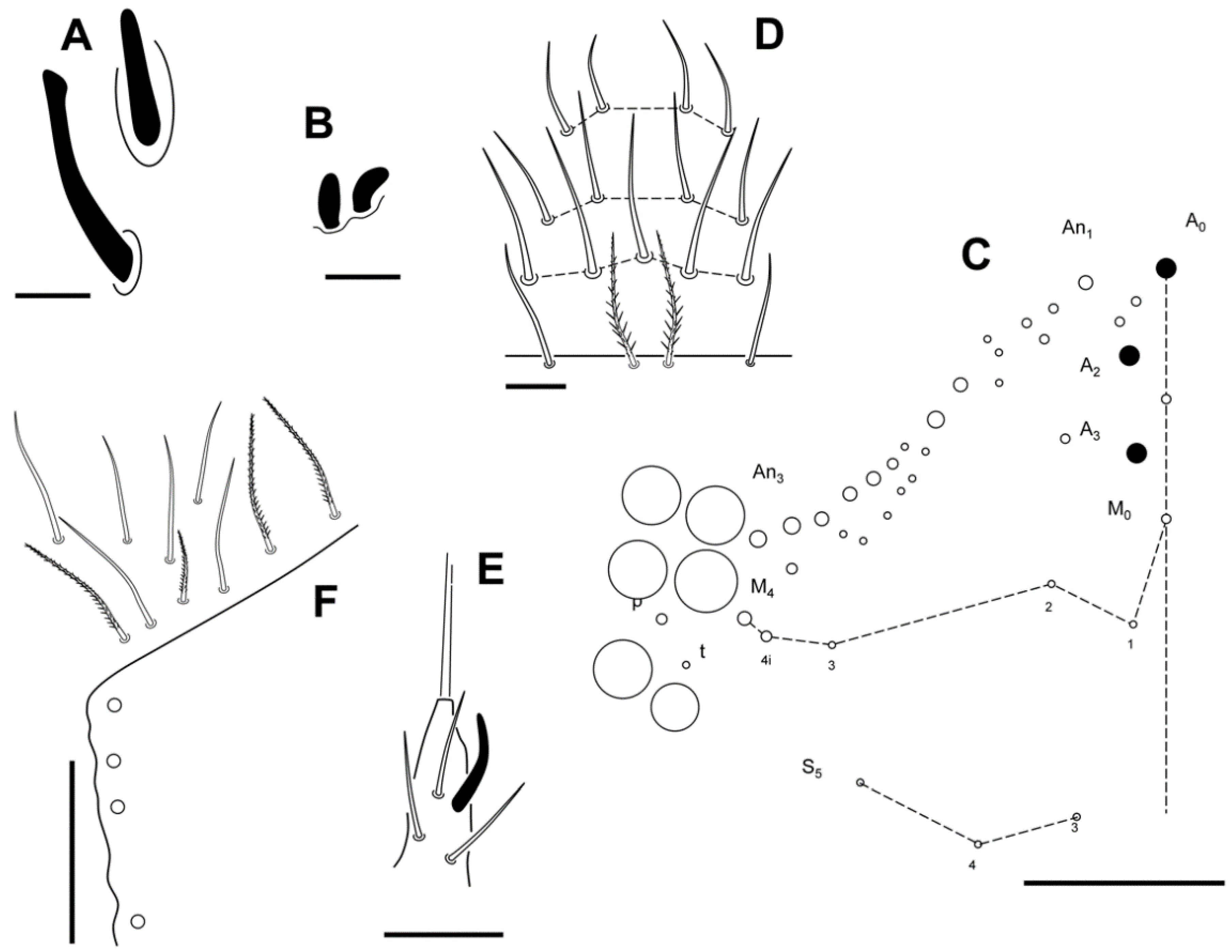 Insects 13 01025 g008