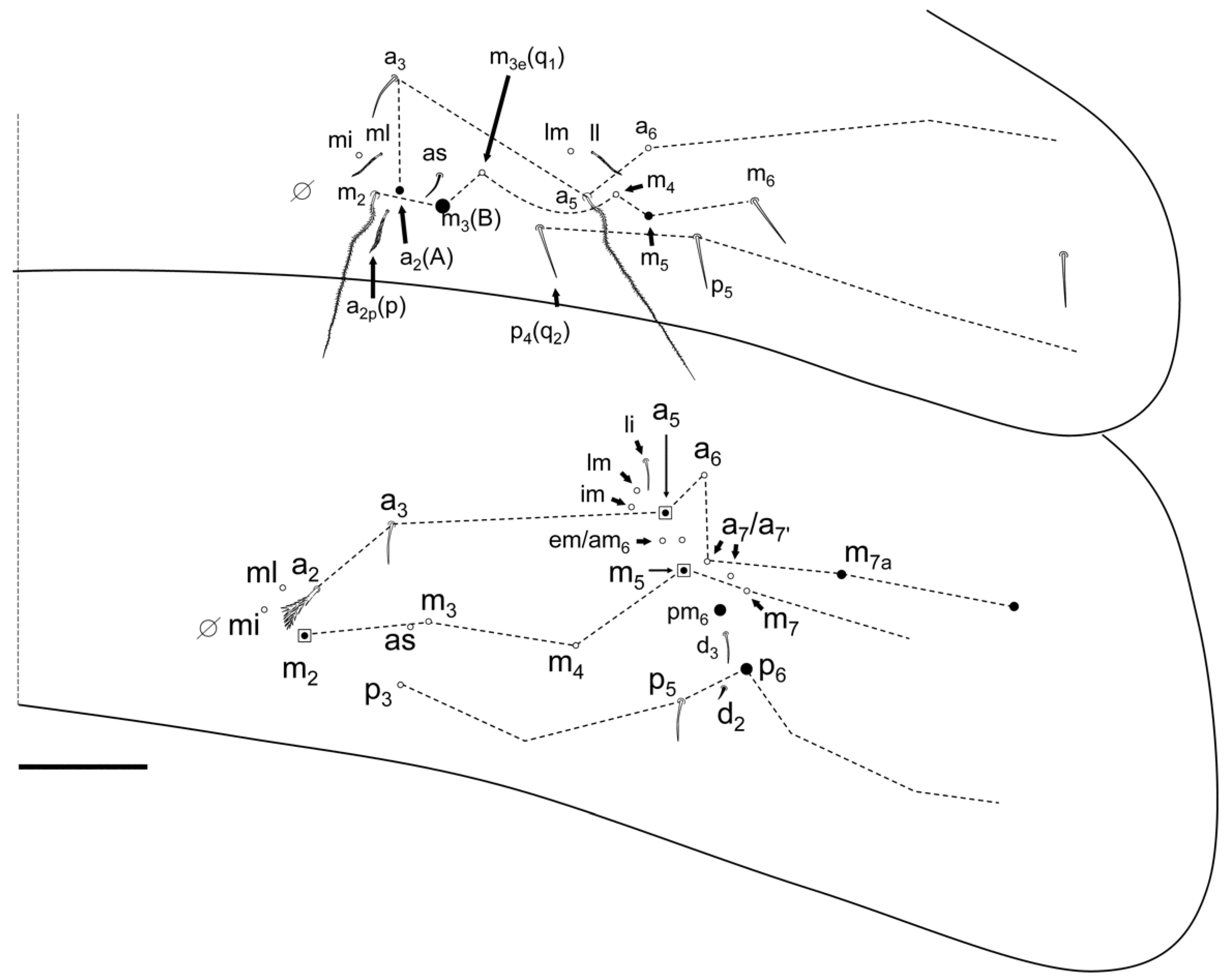 Insects 13 01025 g009