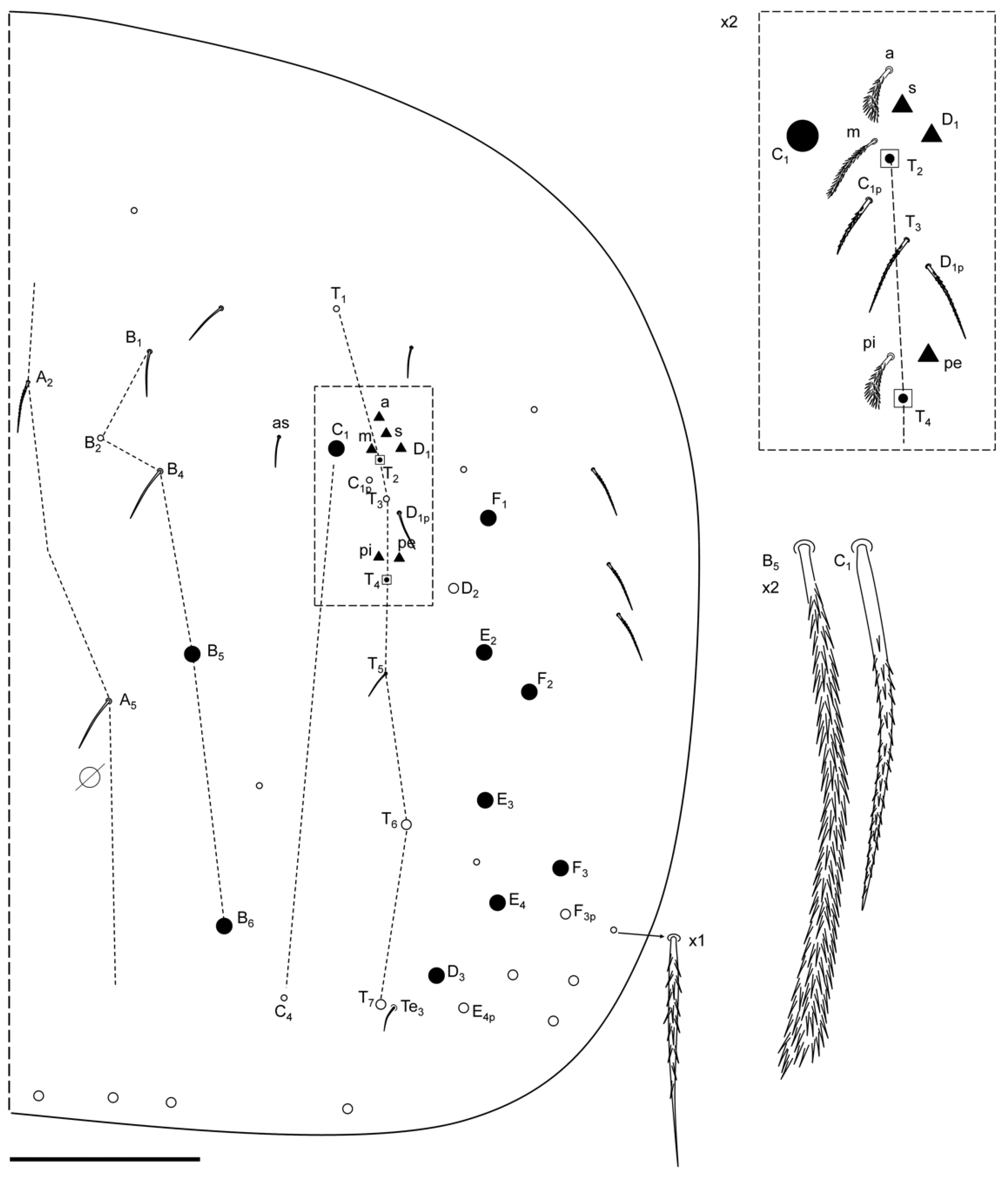 Insects 13 01025 g010