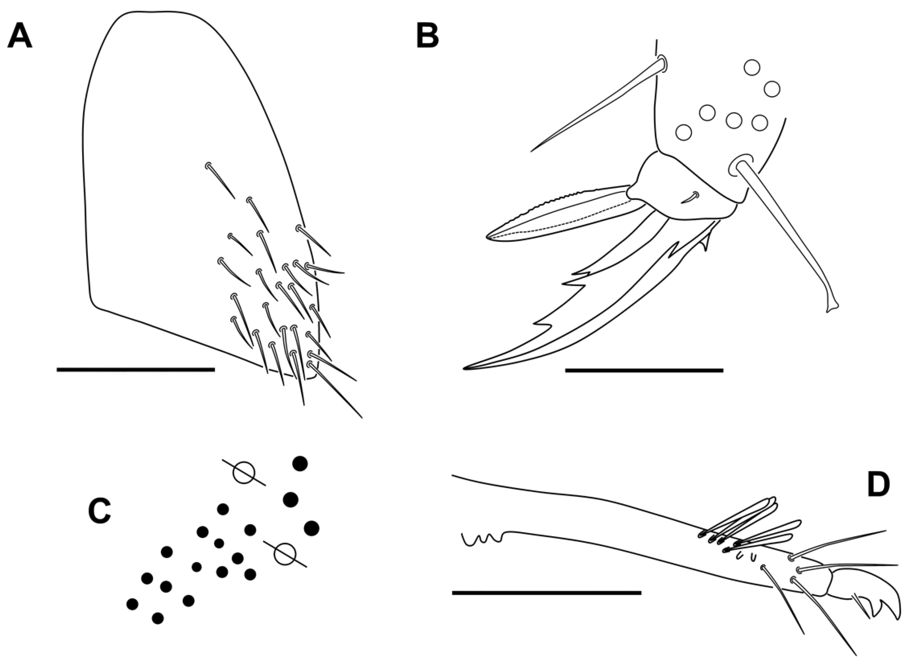 Insects 13 01025 g011