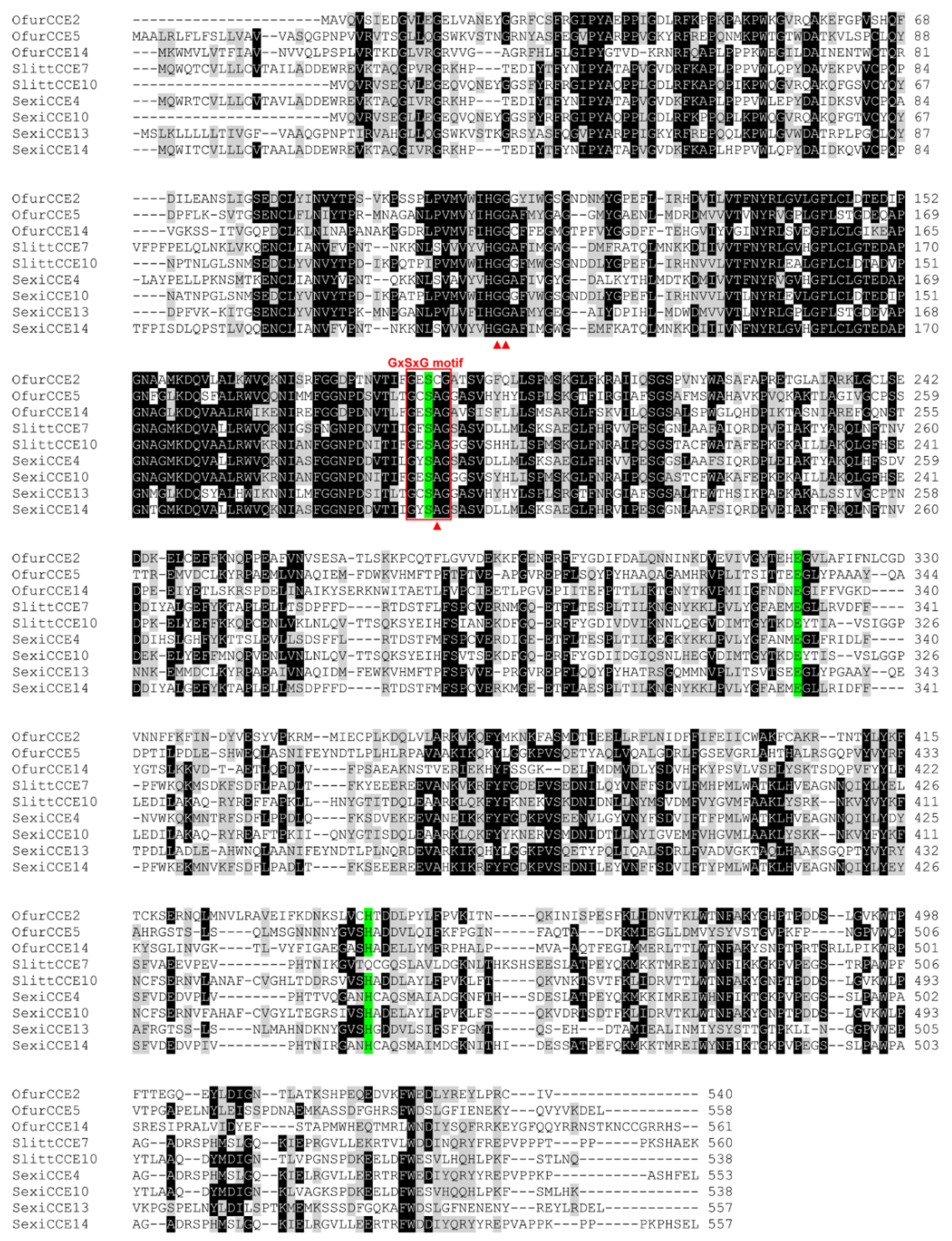 Insects 13 01027 g001 Insects 13 01027 g001
