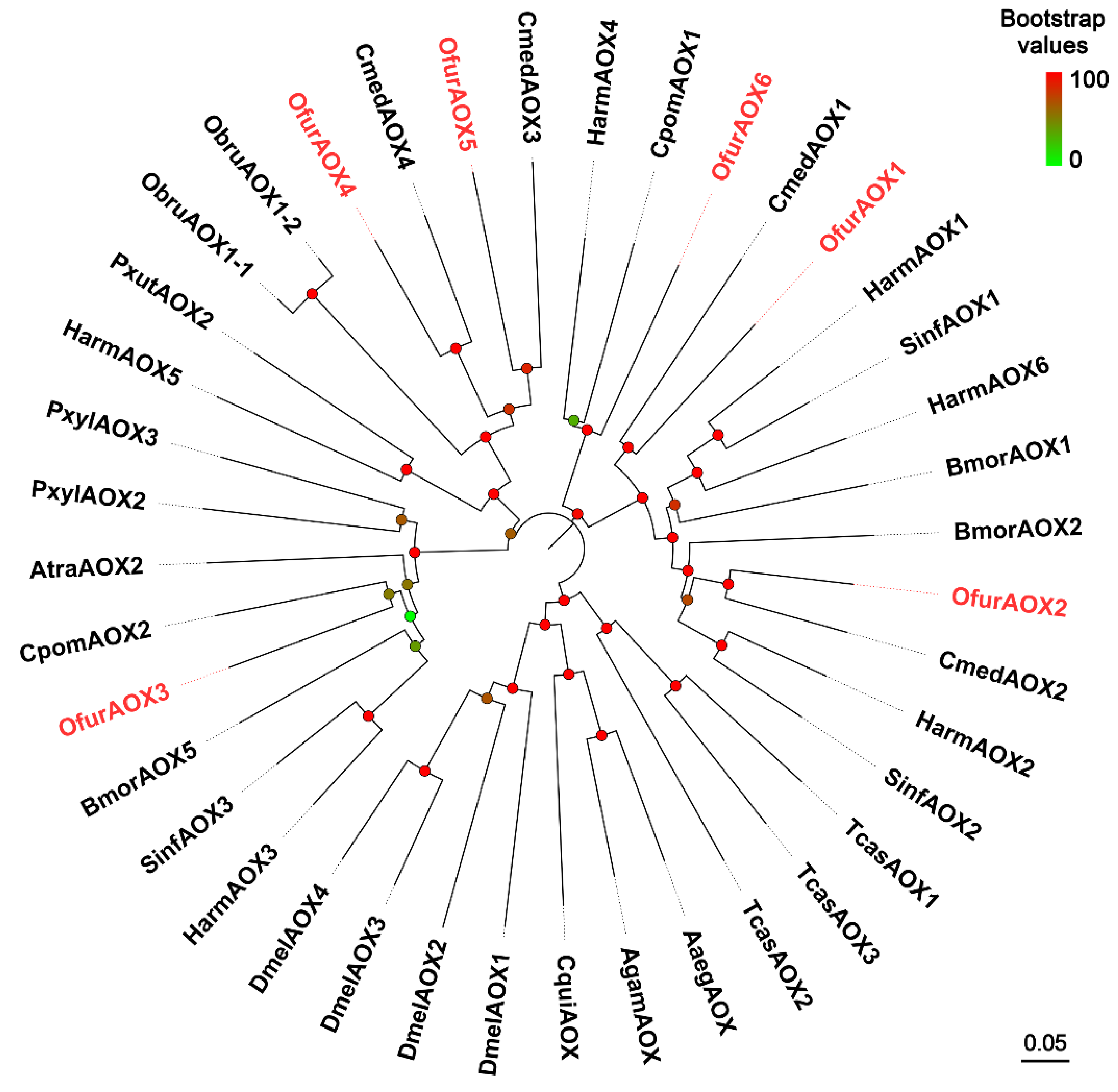 Insects 13 01027 g006 Insects 13 01027 g006