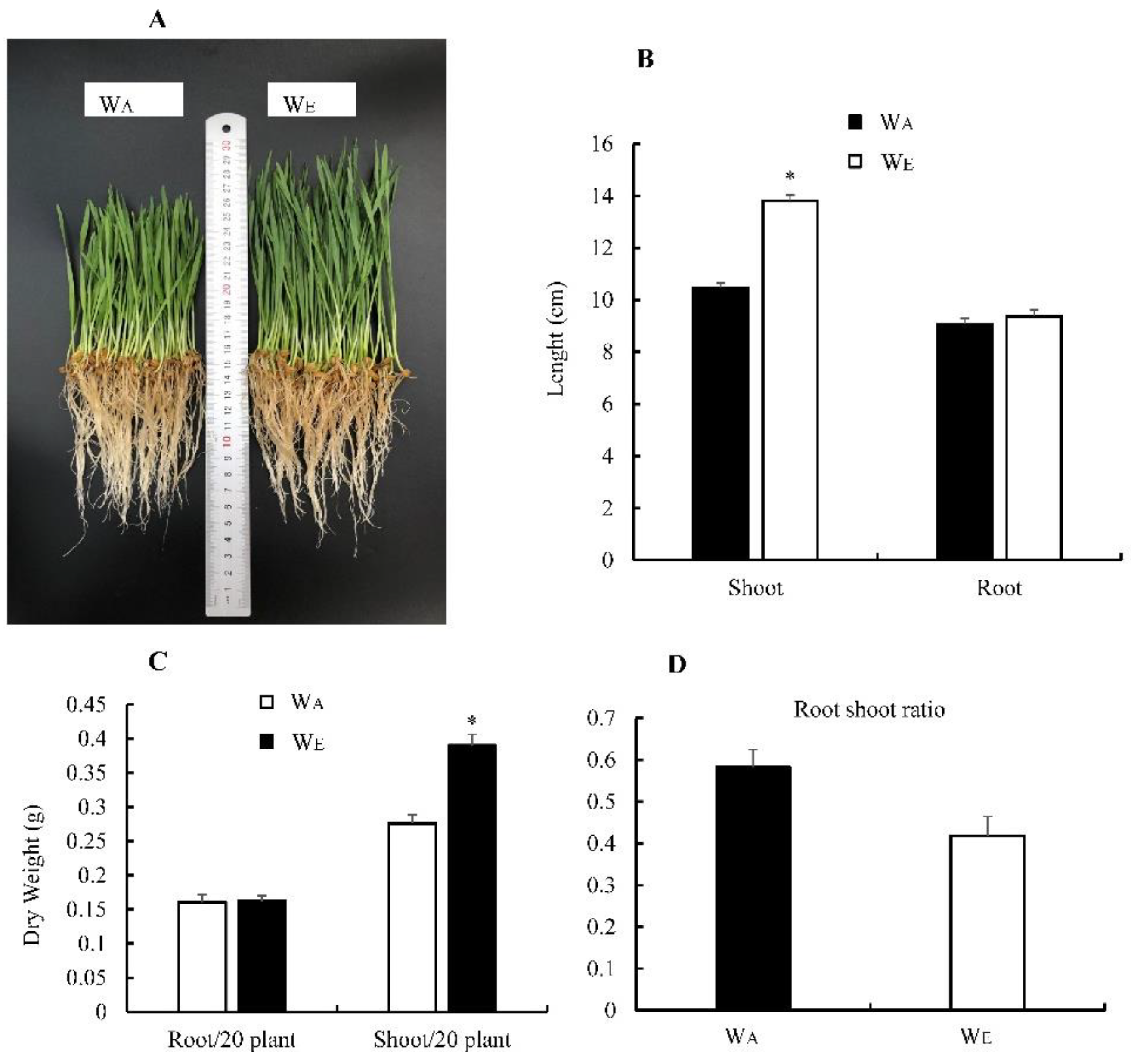 Insects 13 01029 g002 Insects 13 01029 g002
