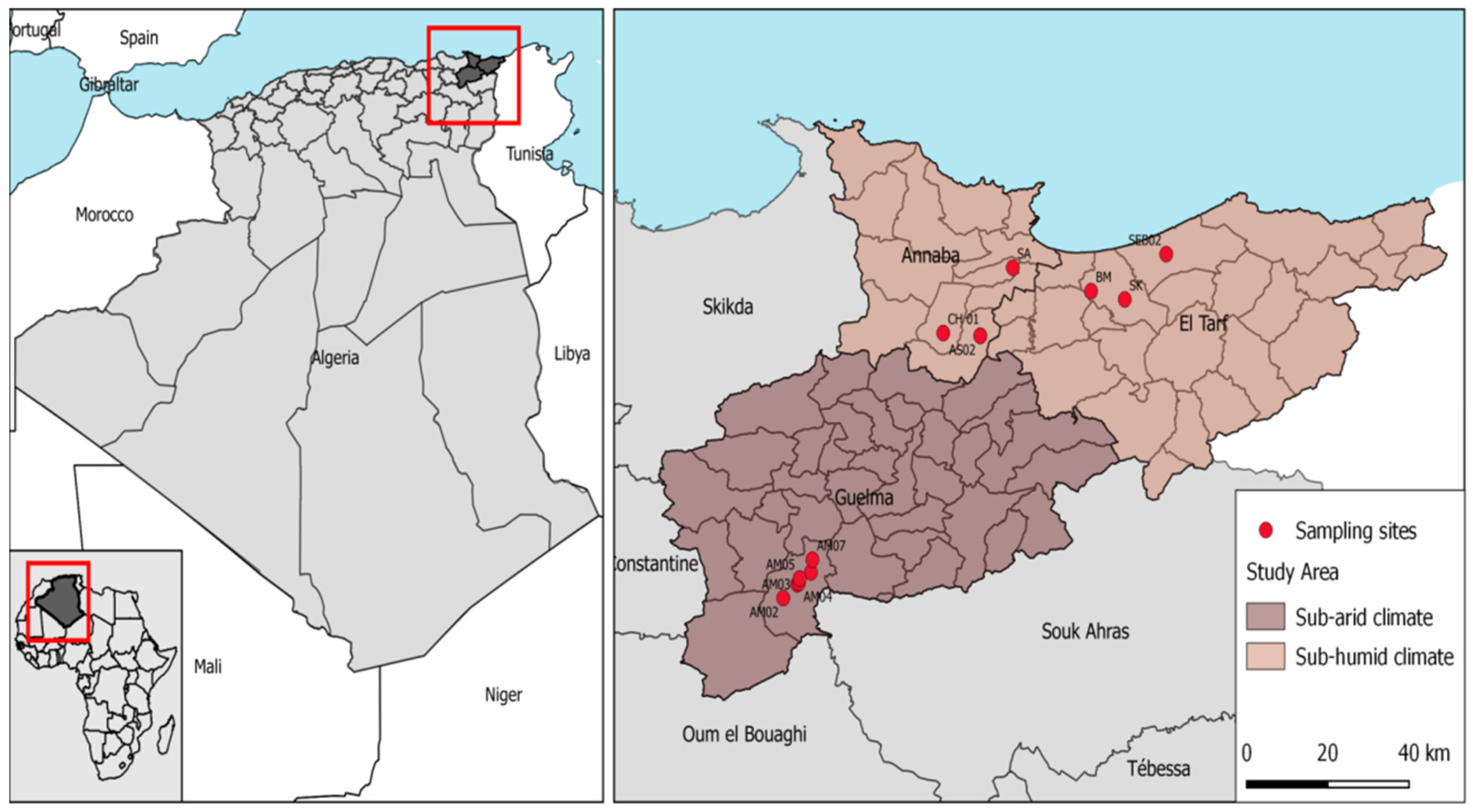 Insects Free Full-Text Geometric Morphometric Wing Analysis of Avian Malaria Vector, Culiseta longiareolata, from Two Locations in Algeria