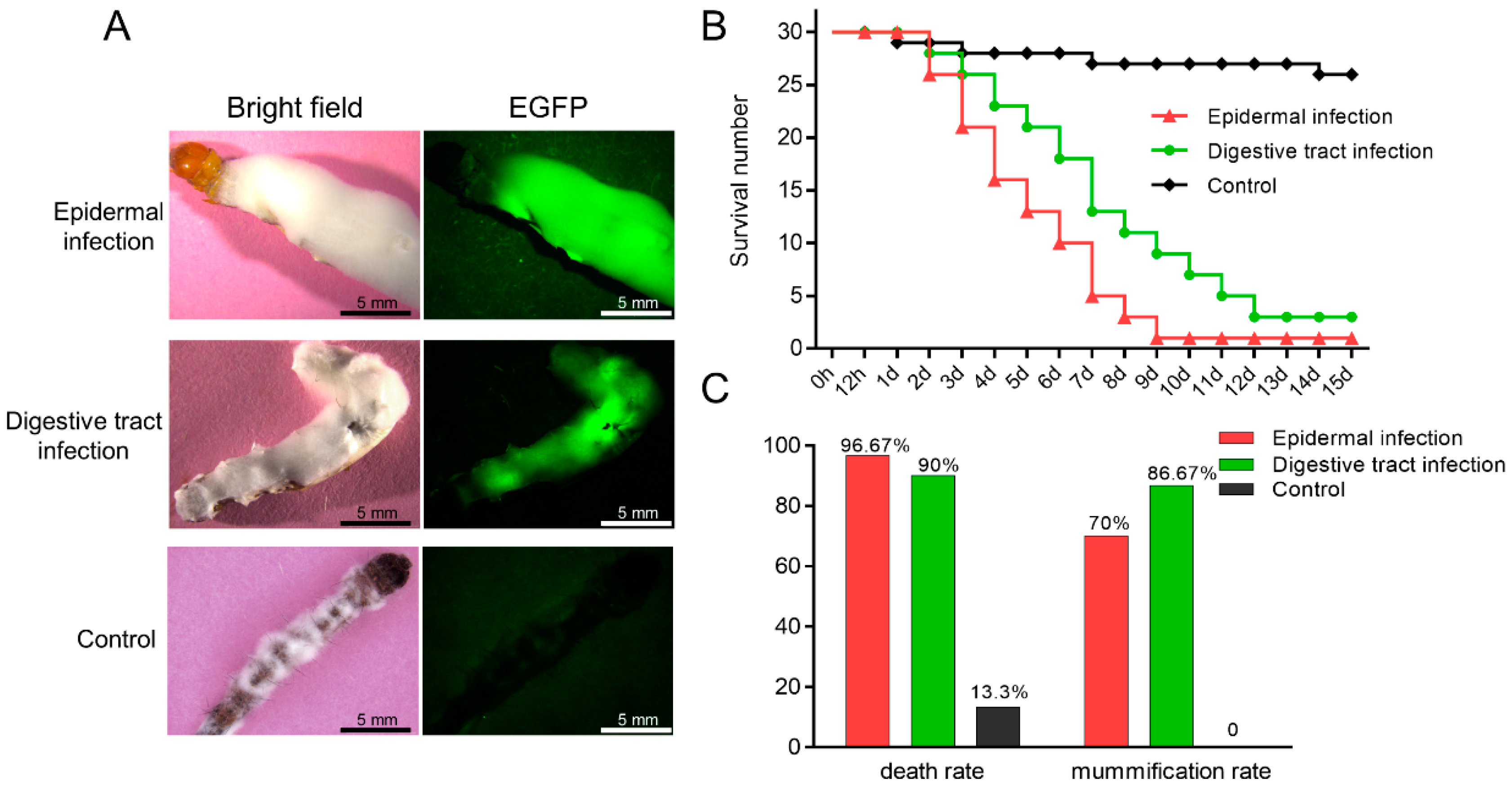 Insects 13 01039 g006