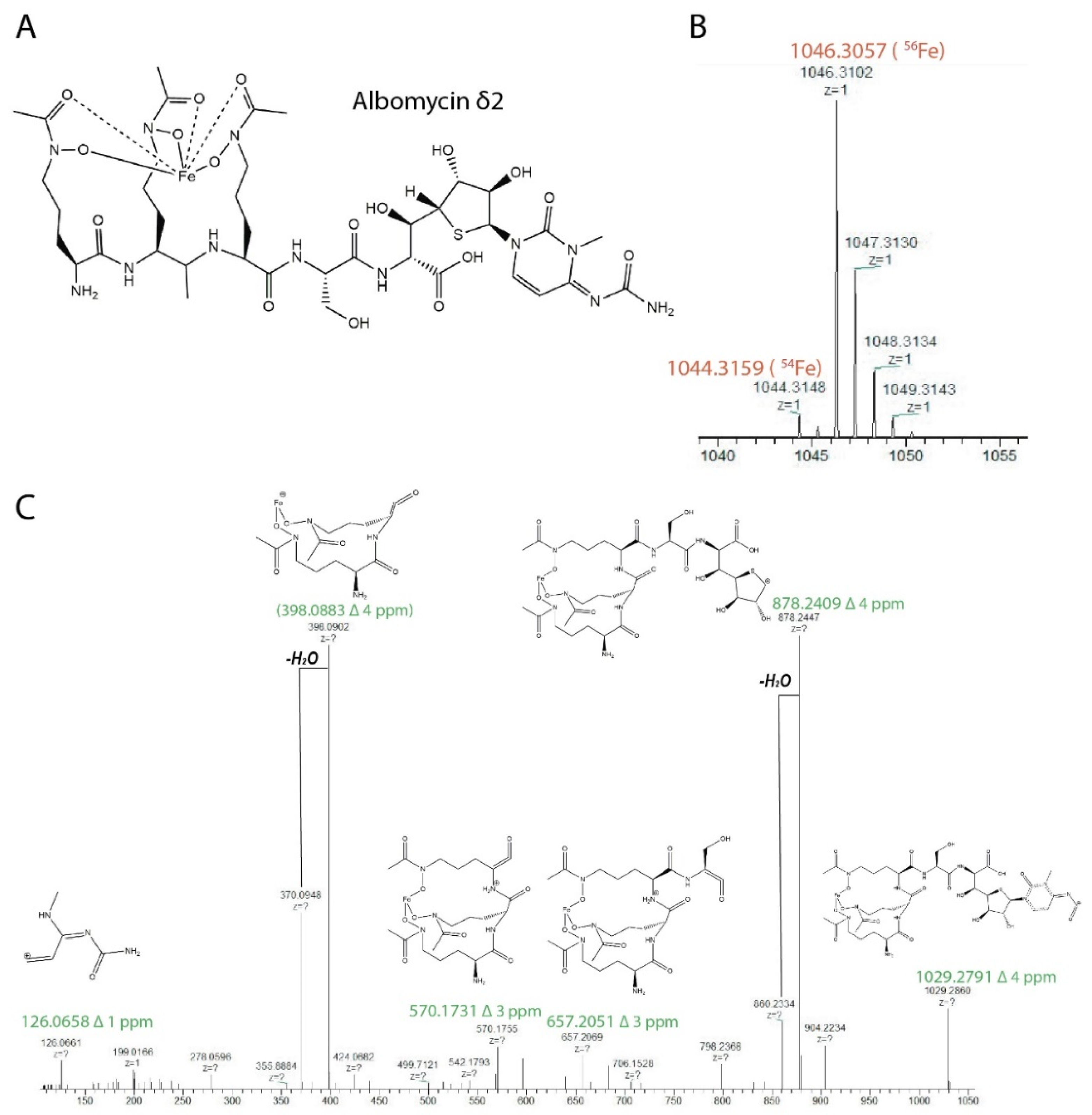 Insects 13 01042 g006
