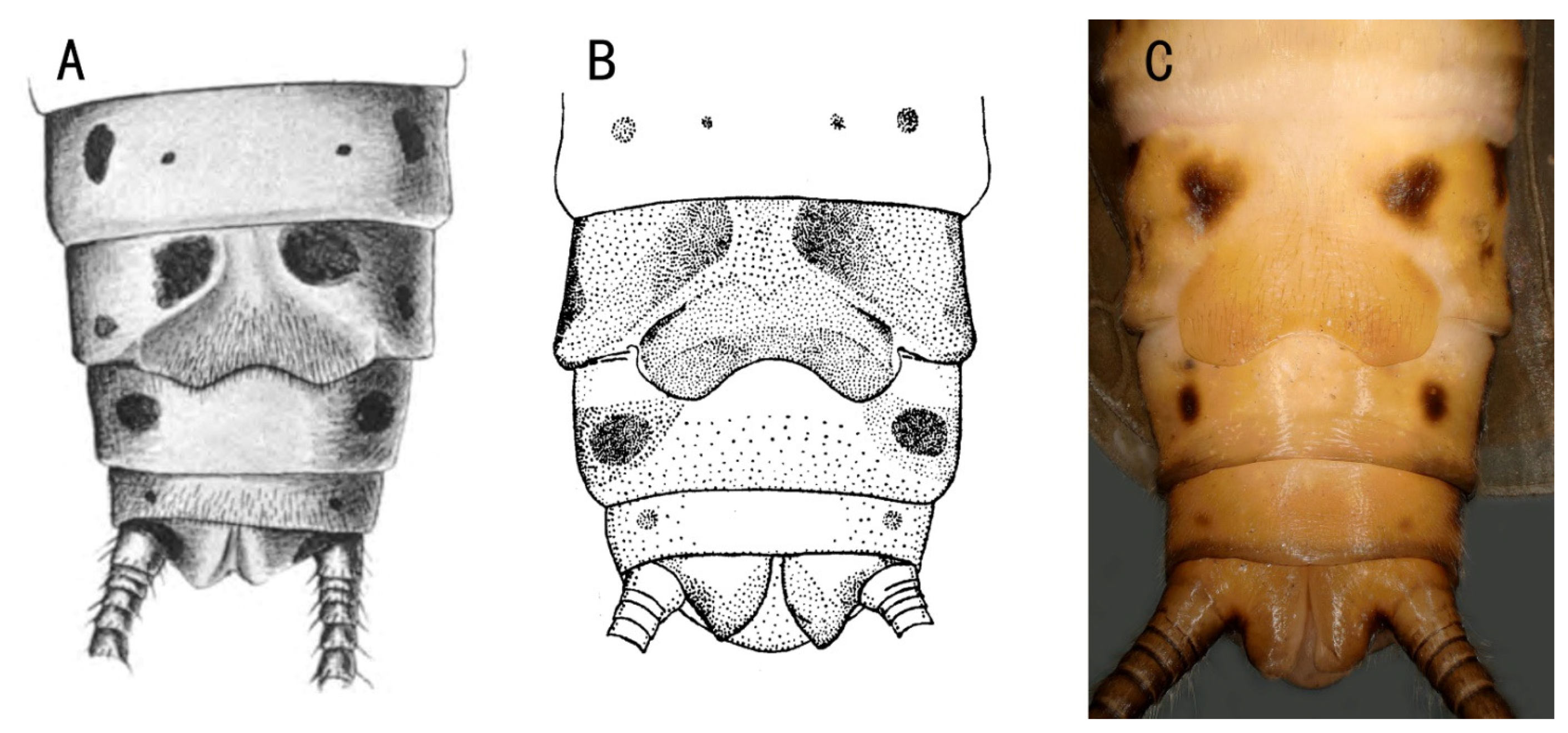 Insects 13 01044 g002 Insects 13 01044 g002