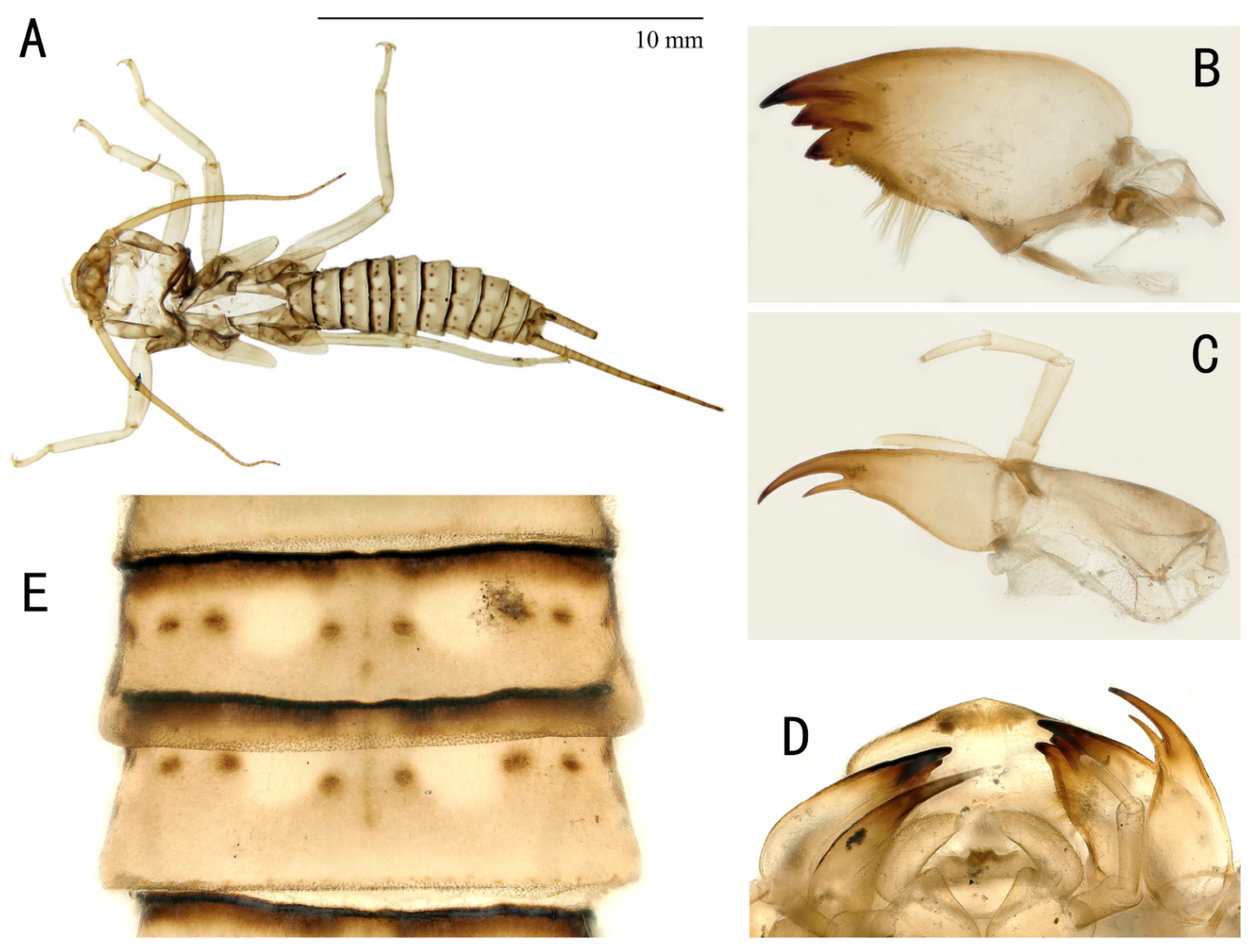 Insects 13 01044 g005 Insects 13 01044 g005
