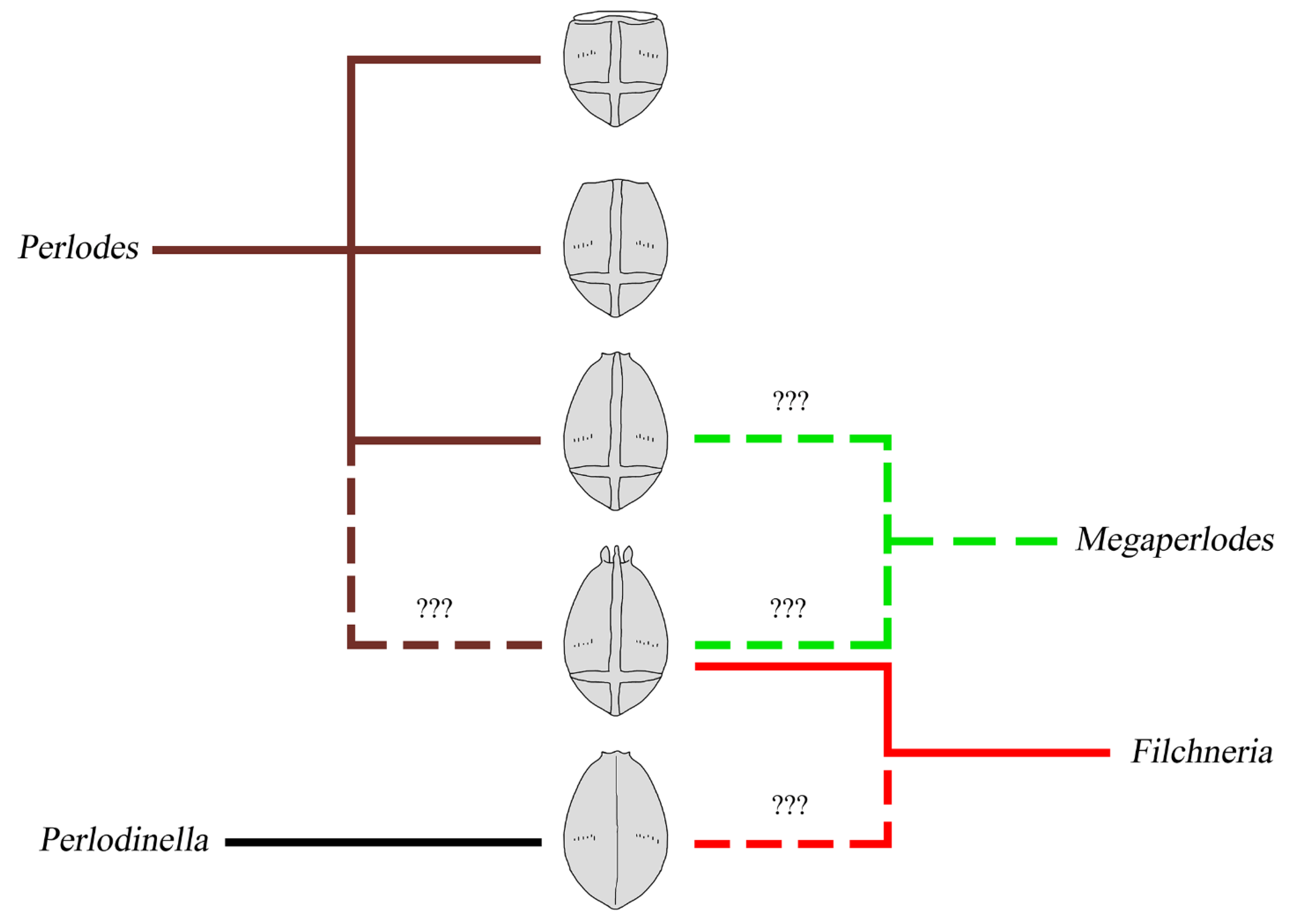 Insects 13 01044 g016 Insects 13 01044 g016