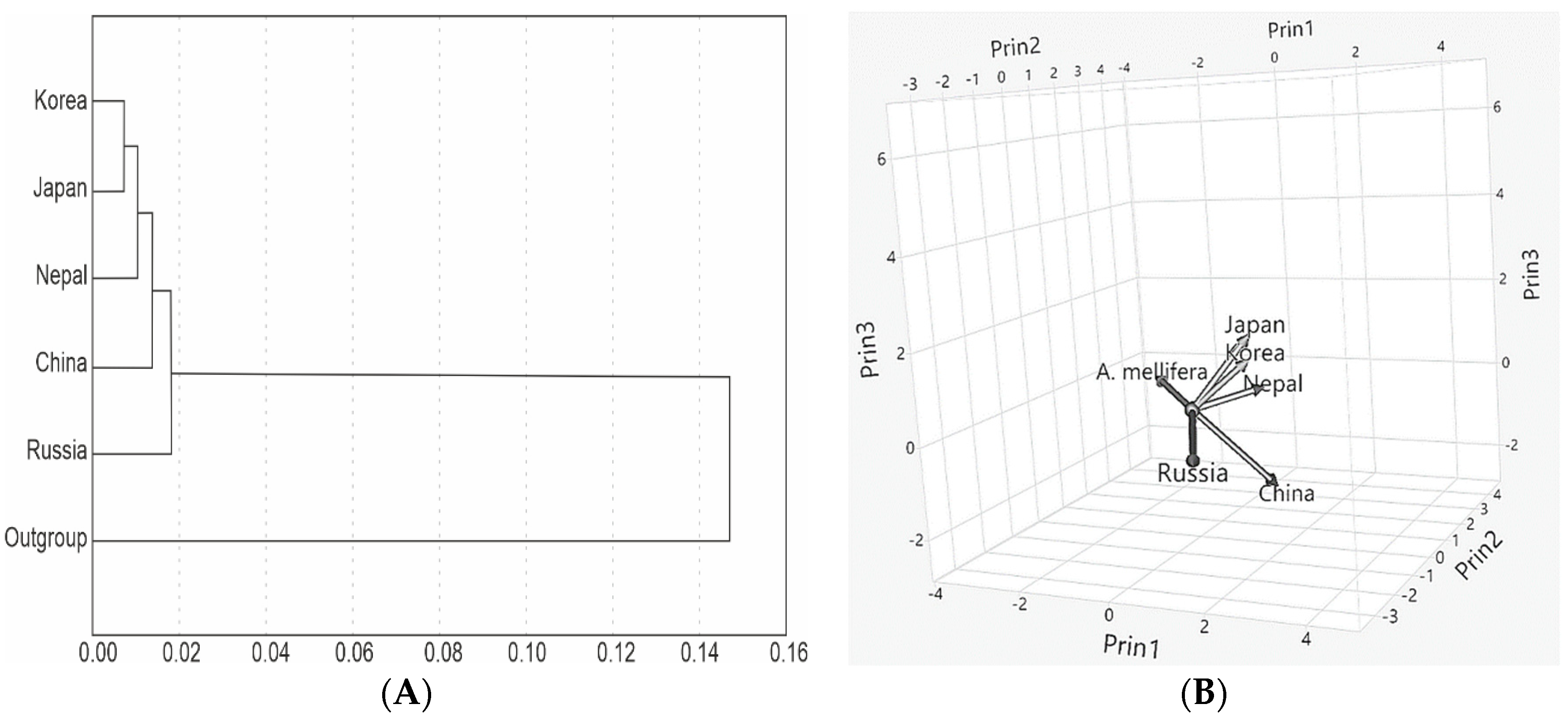 Insects 13 01053 g003