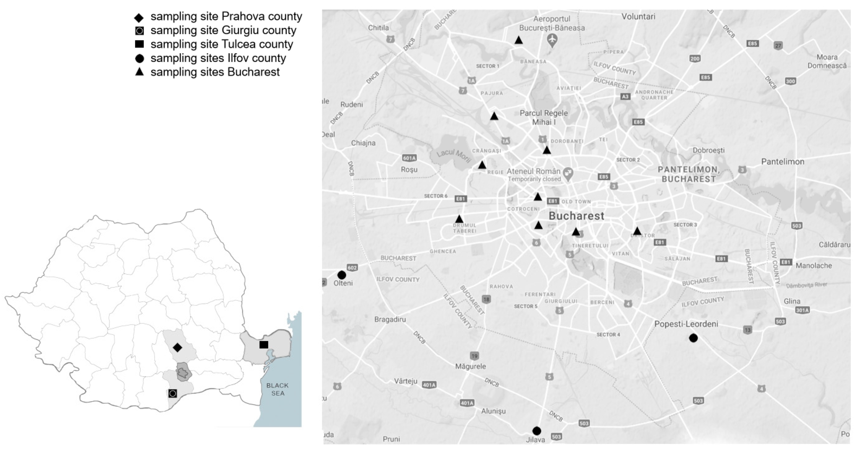 Insects 13 01062 g001 Insects 13 01062 g001