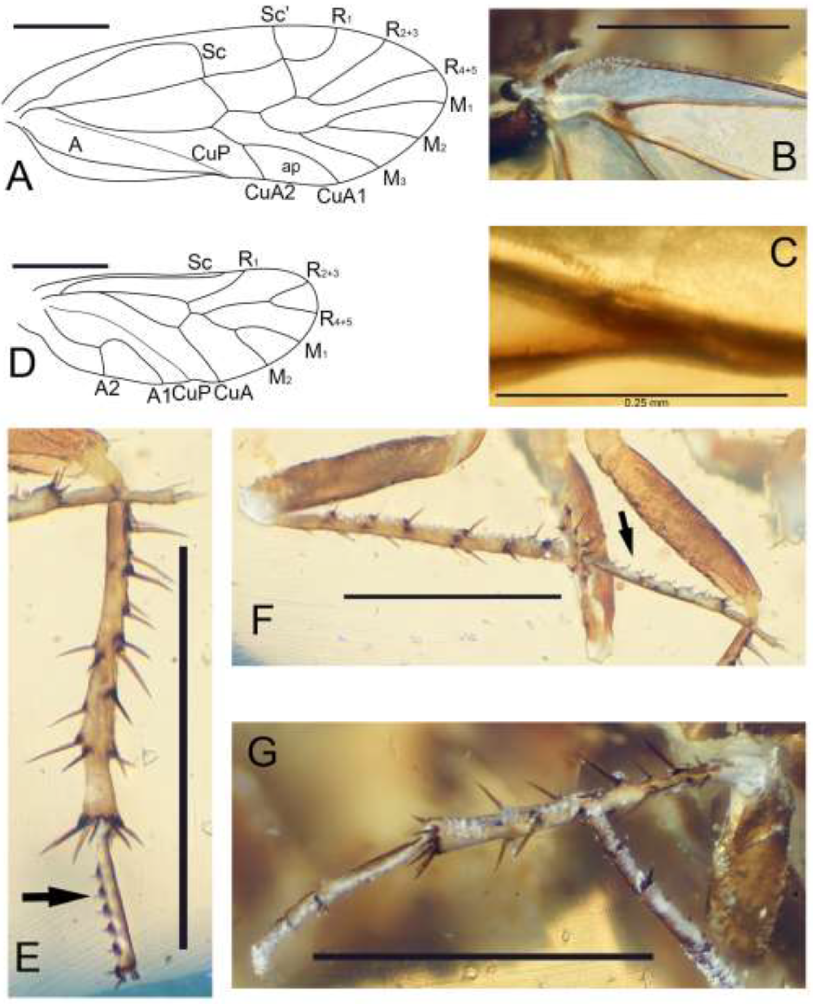 Insects 13 01064 g002