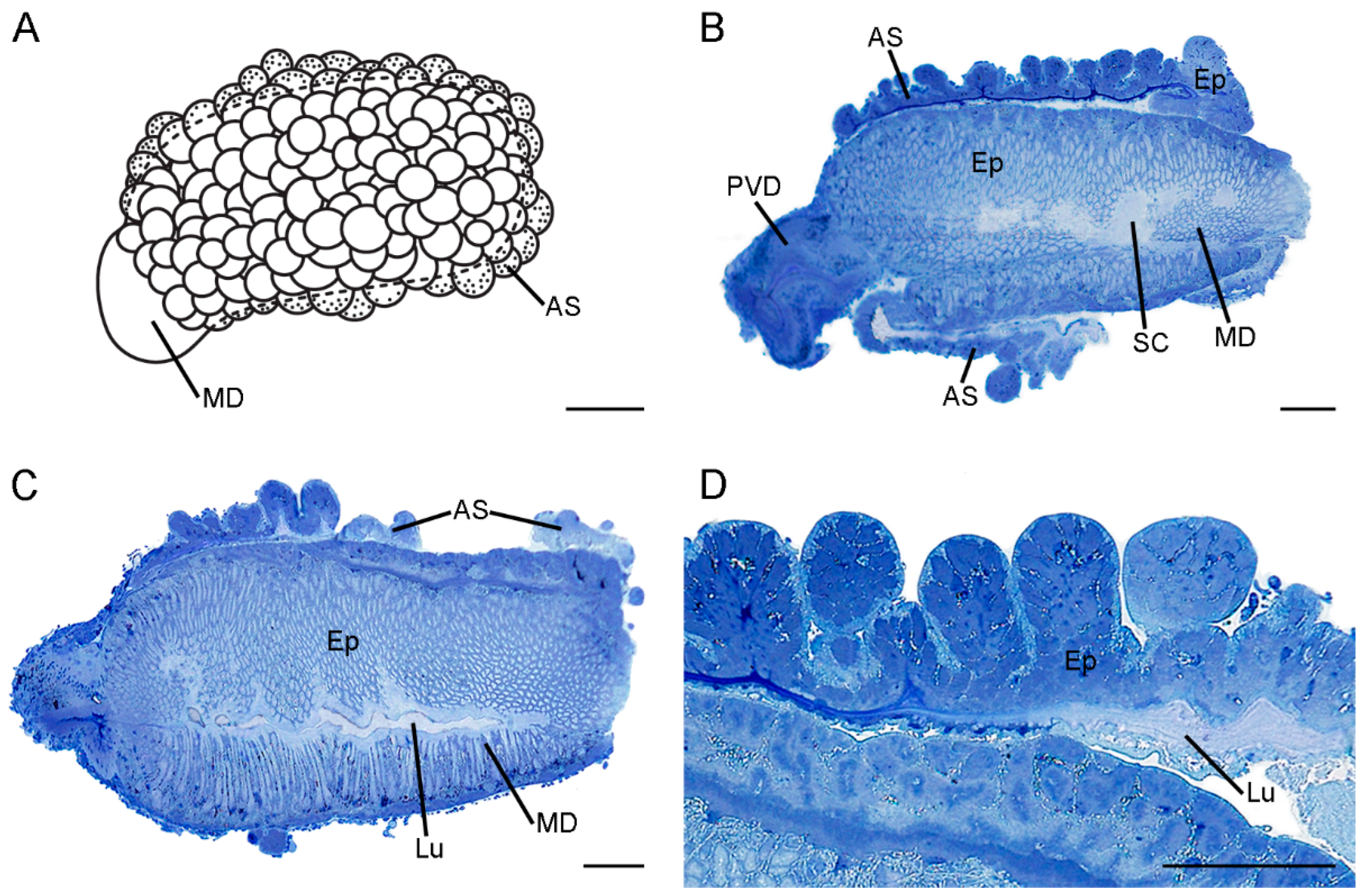 Insects 13 01074 g002 Insects 13 01074 g002