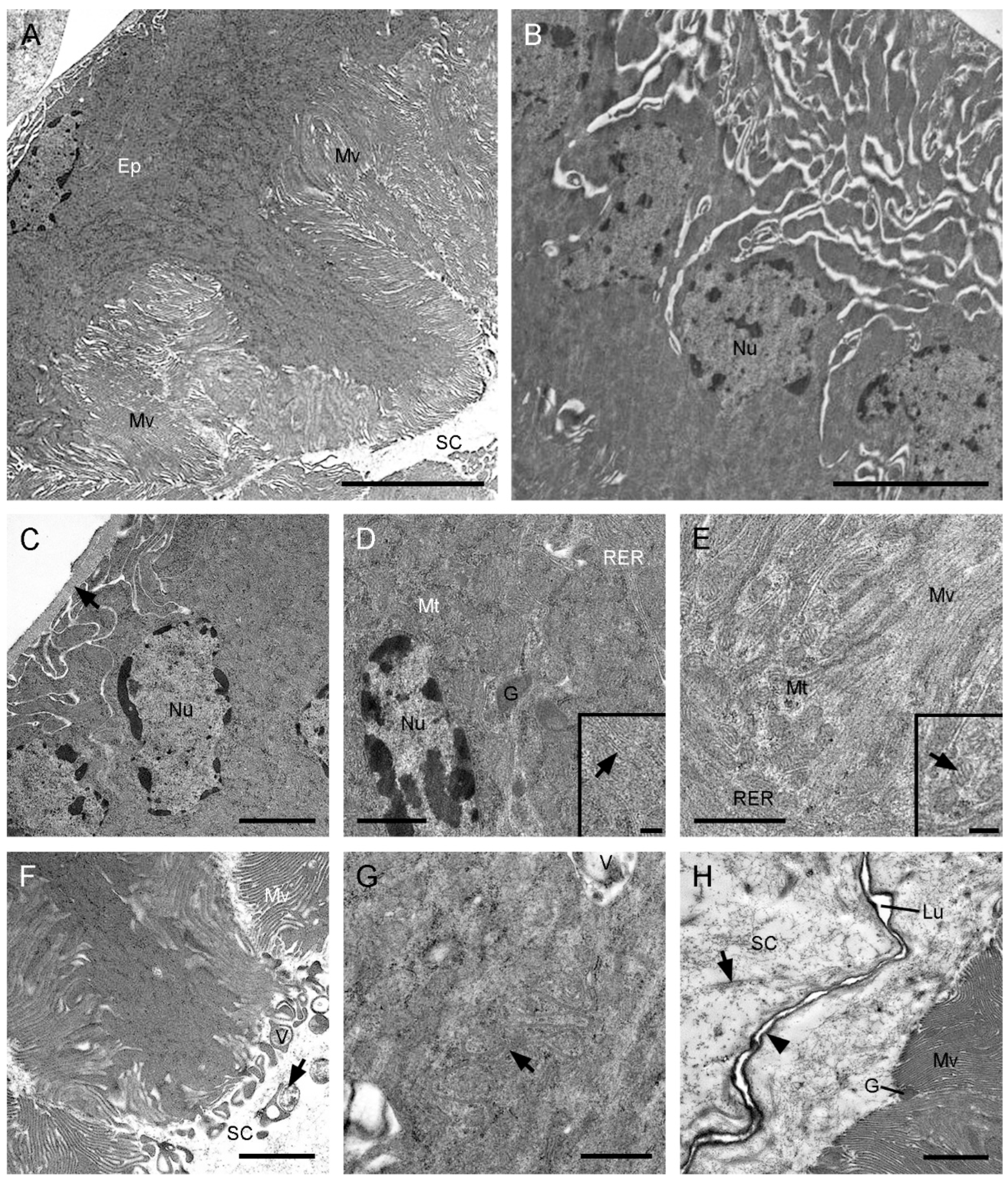 Insects 13 01074 g003 Insects 13 01074 g003