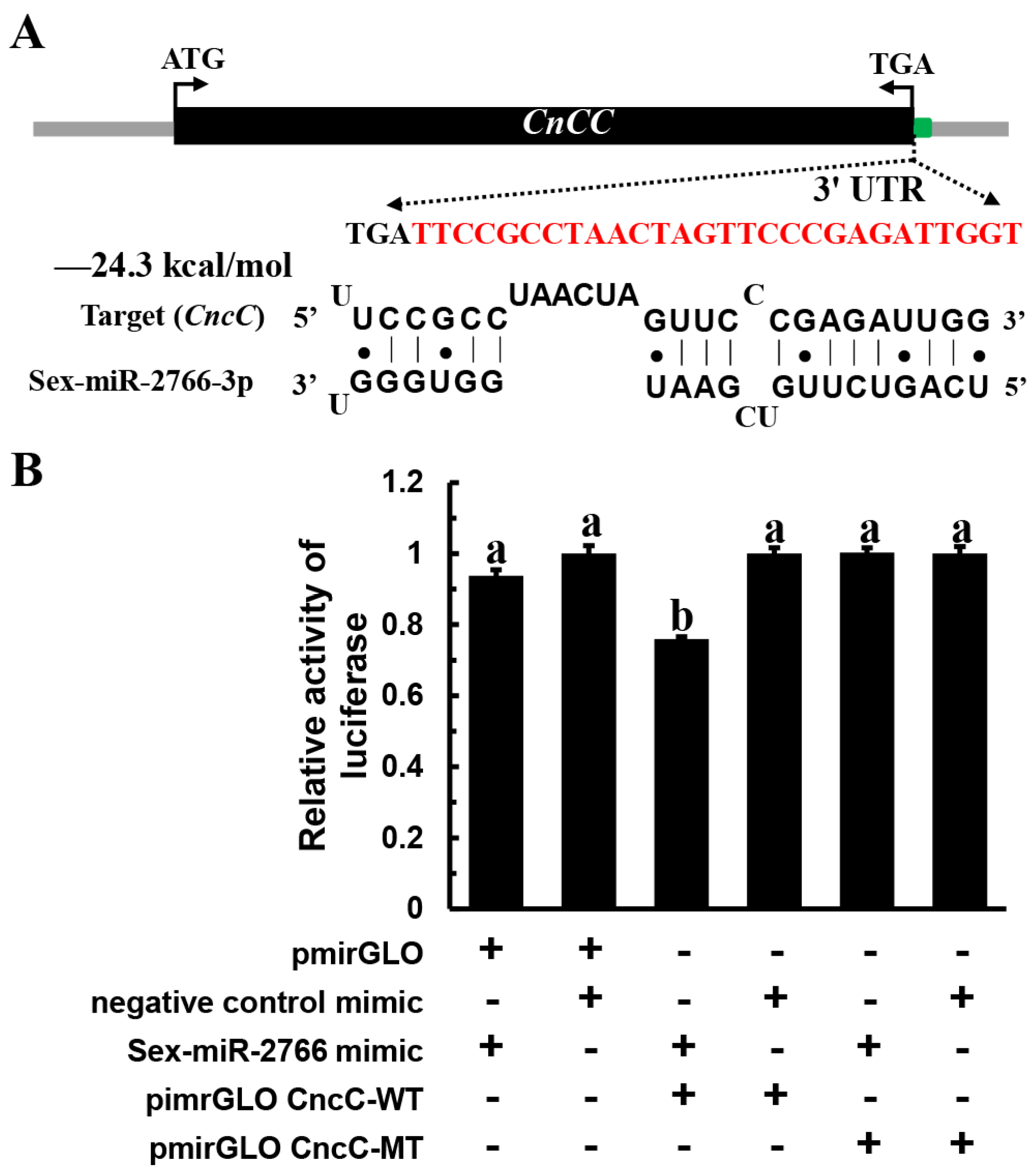 Insects 13 01075 g002