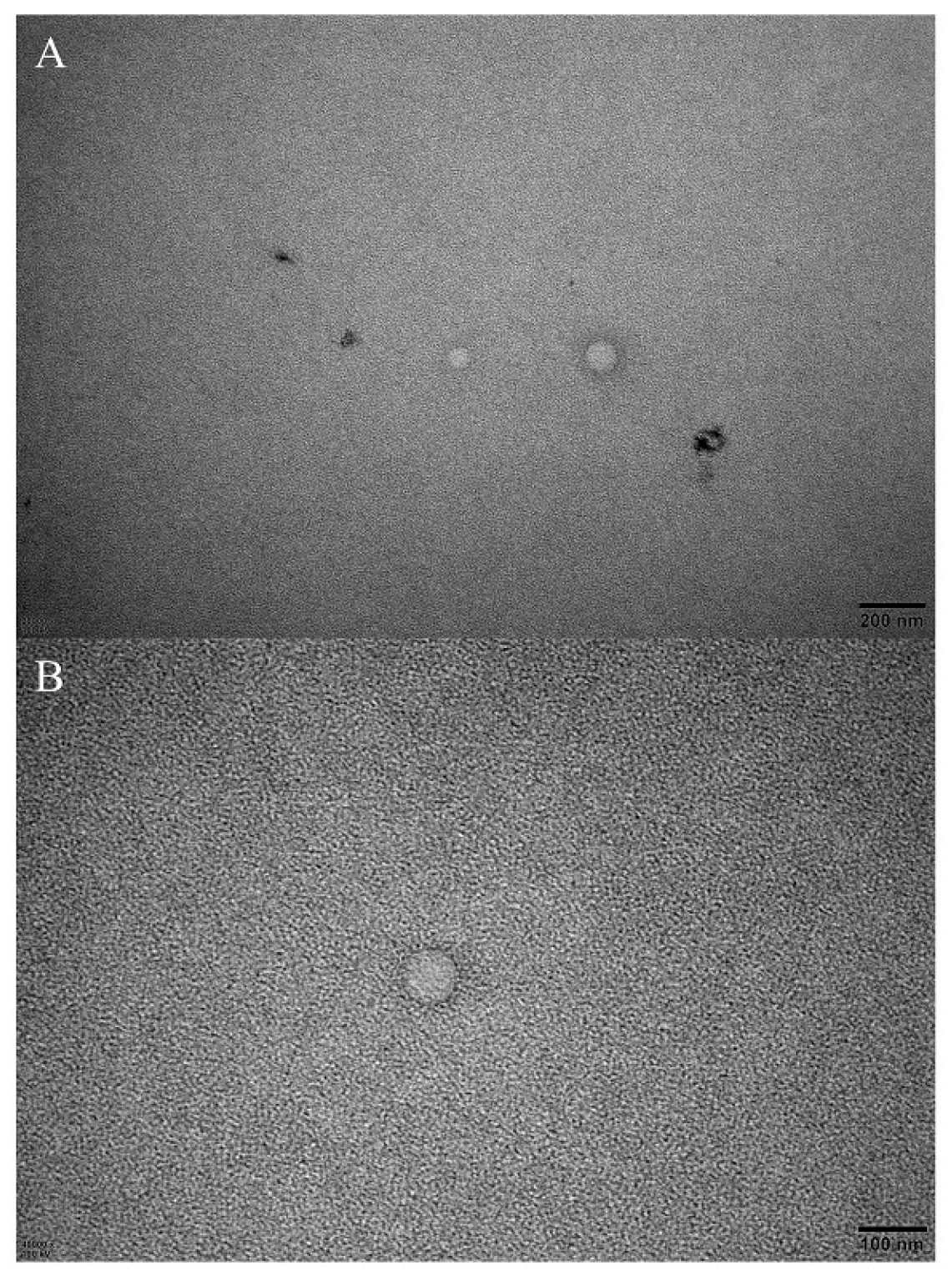 Insects 13 01077 g006 Insects 13 01077 g006