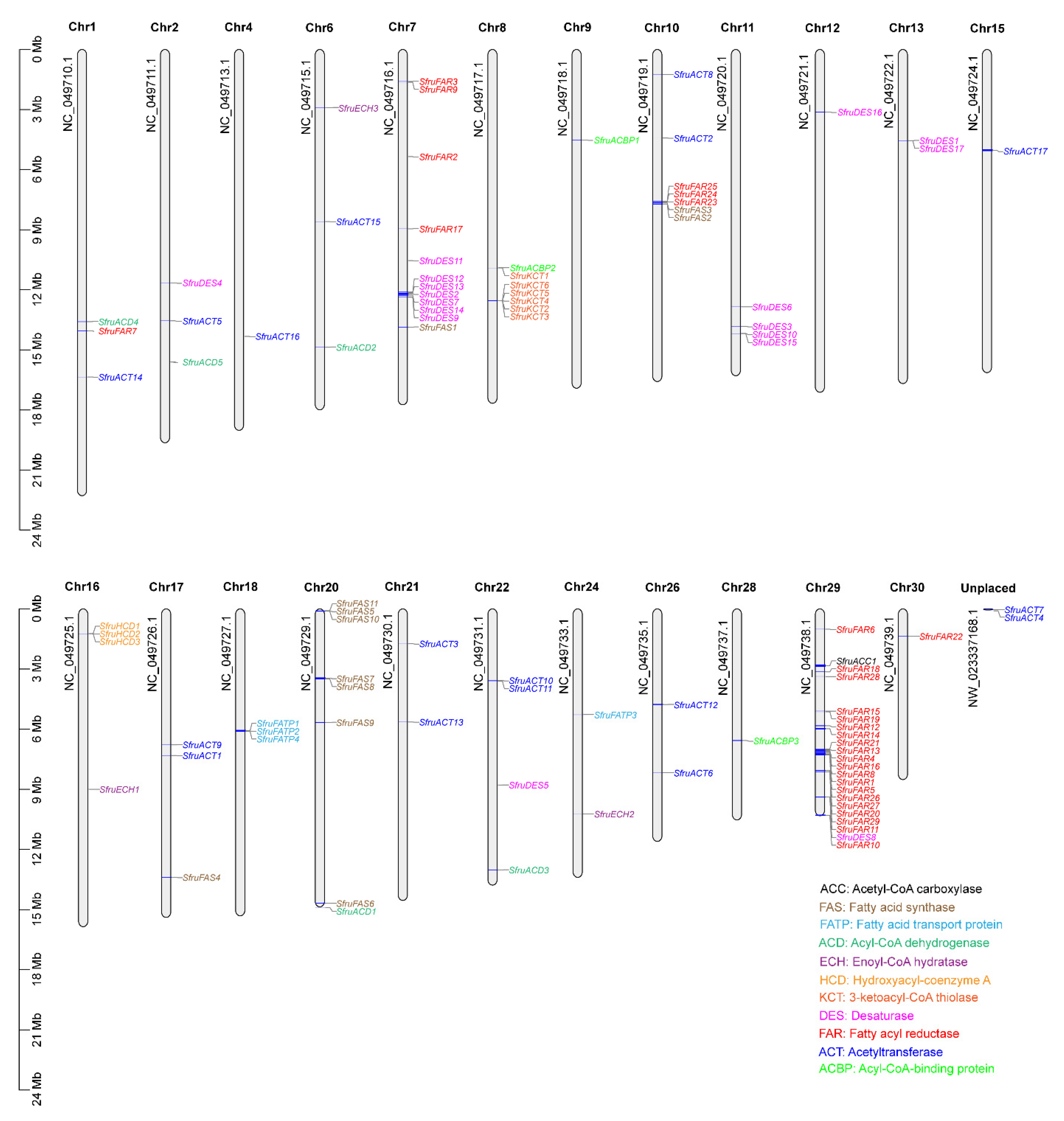 Insects 13 01078 g001