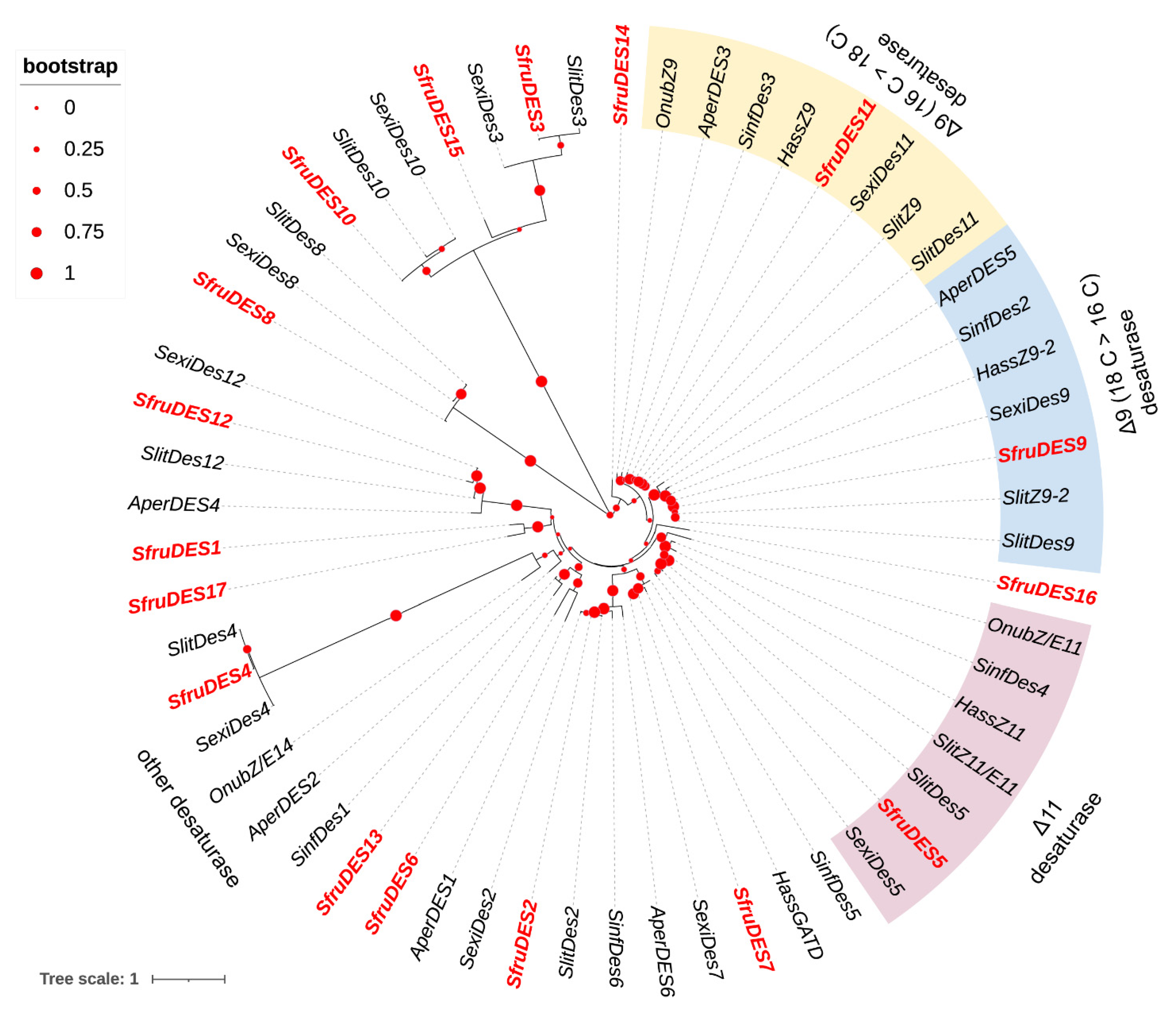 Insects 13 01078 g002