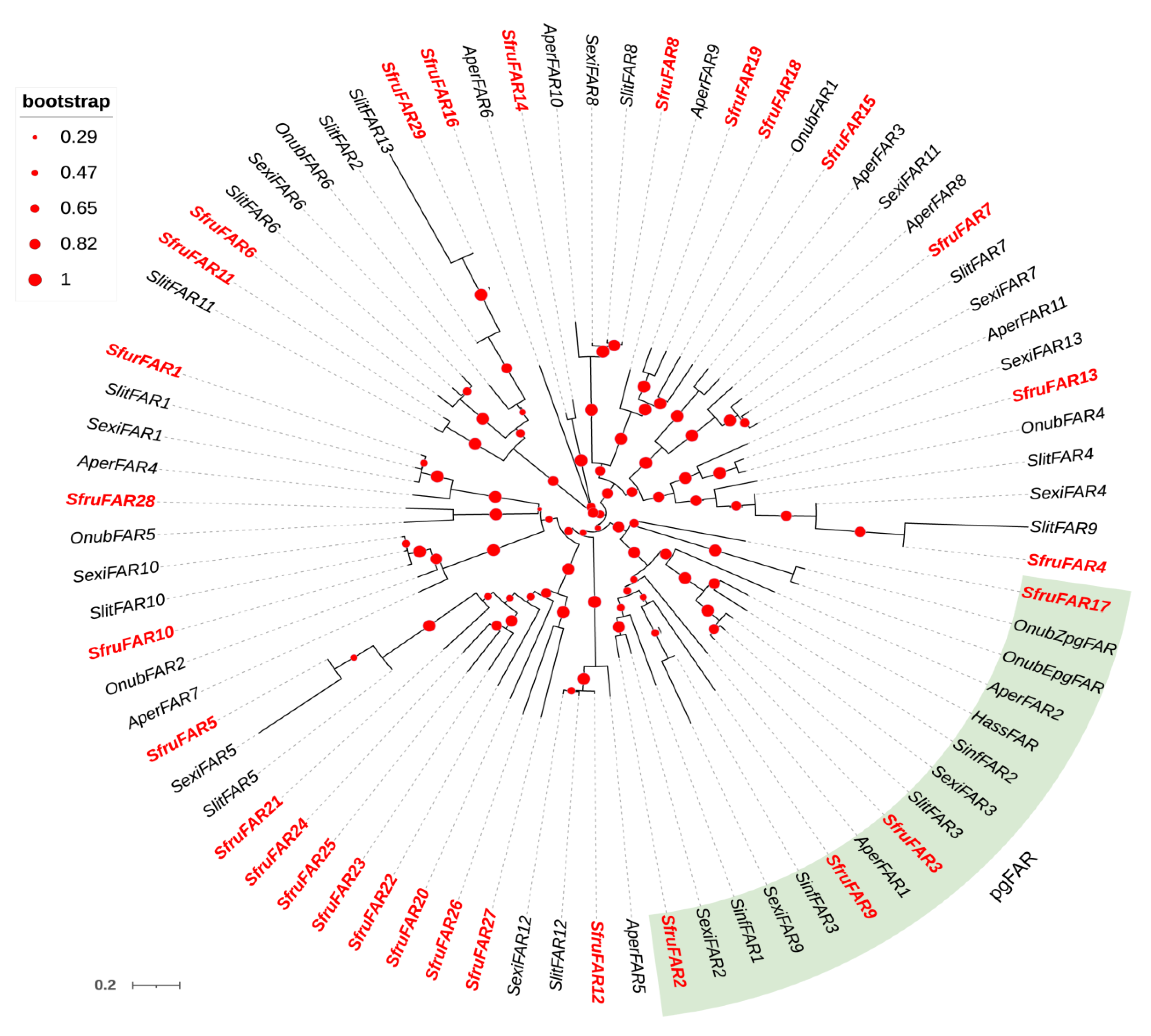 Insects 13 01078 g003