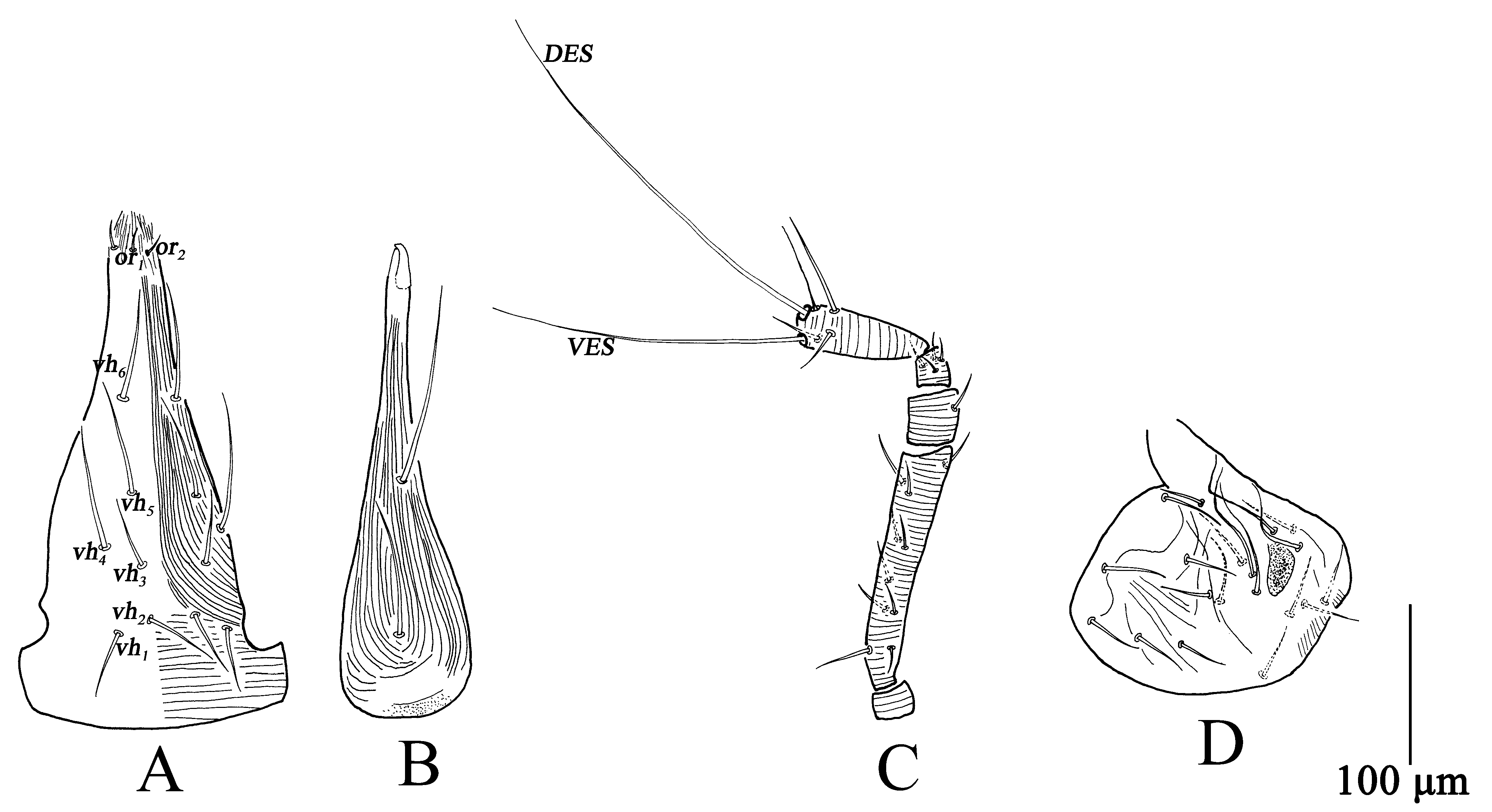 Insects 13 01080 g001