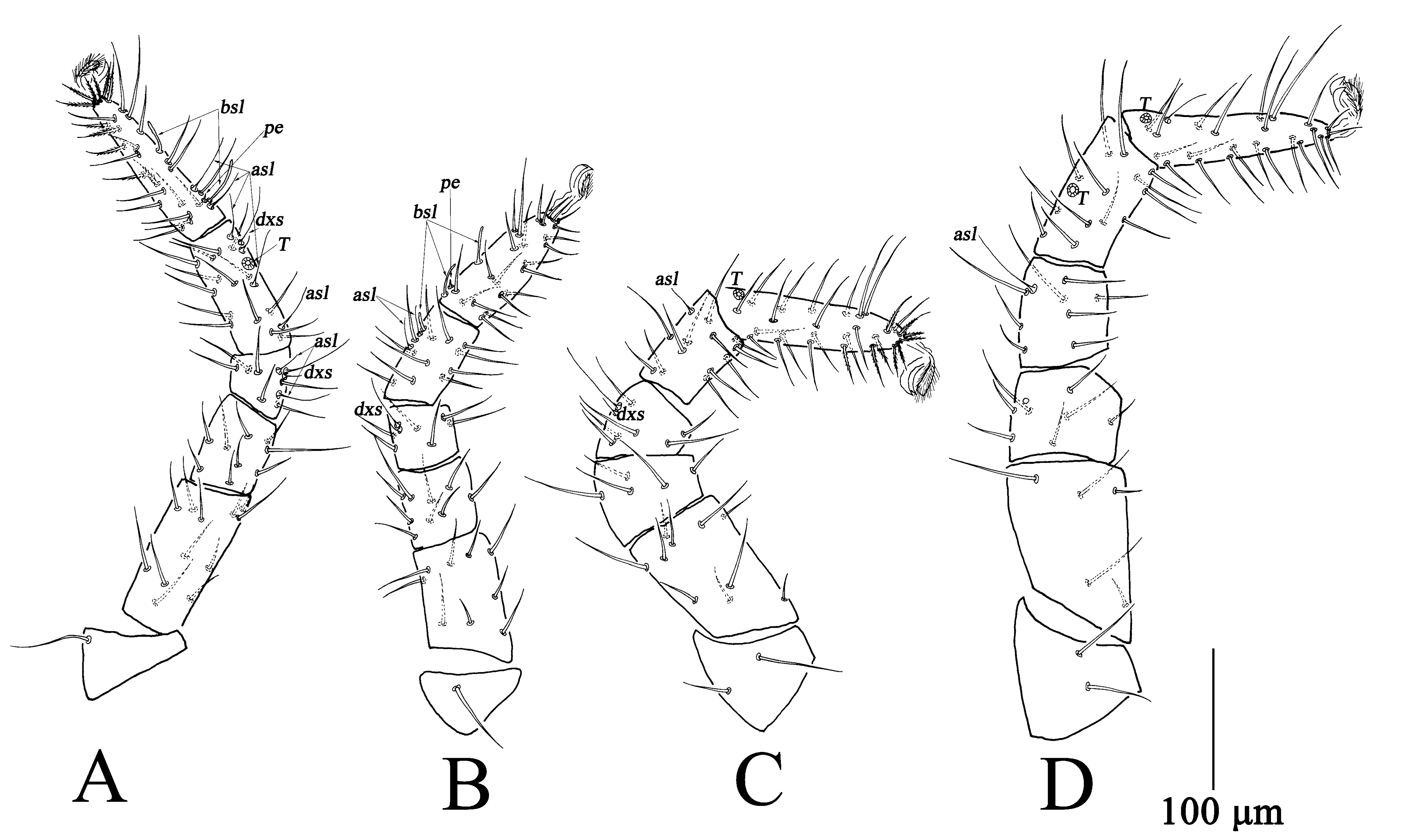 Insects 13 01080 g003
