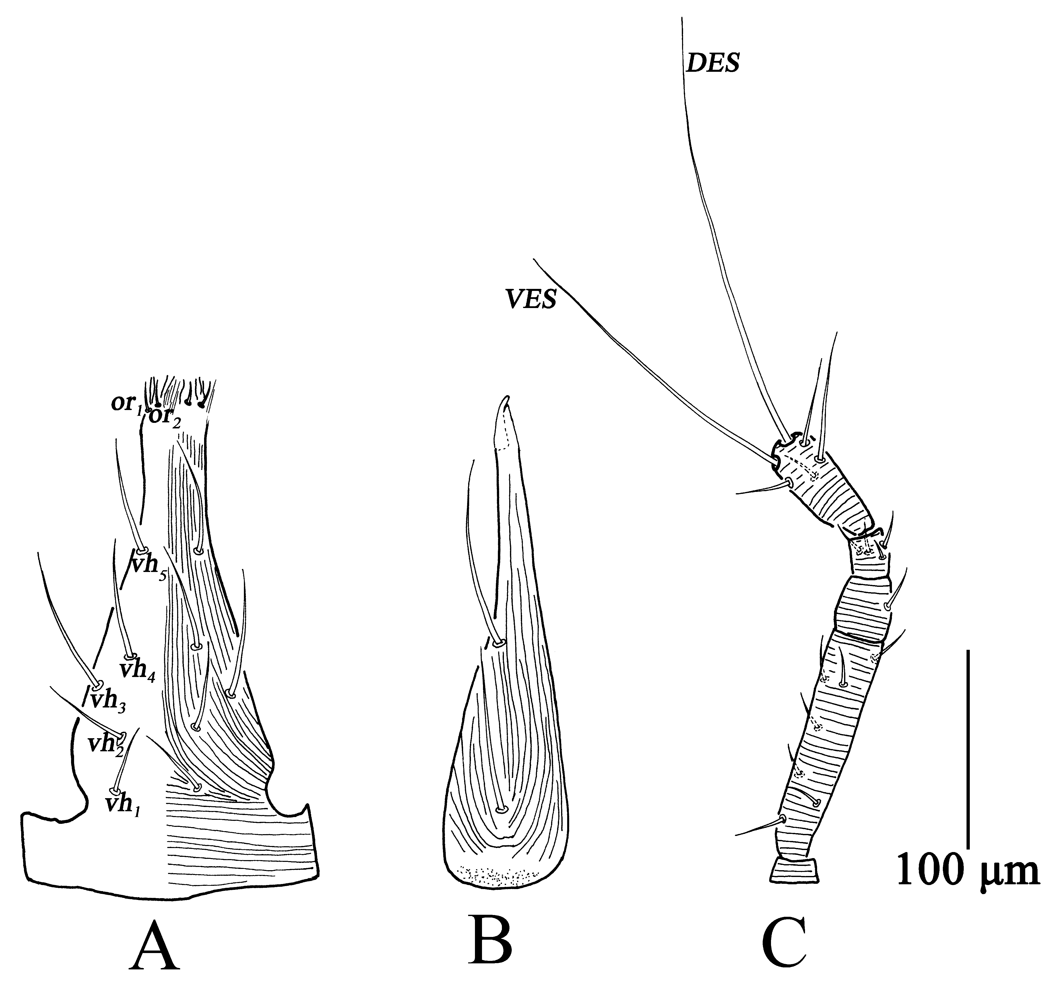 Insects 13 01080 g004