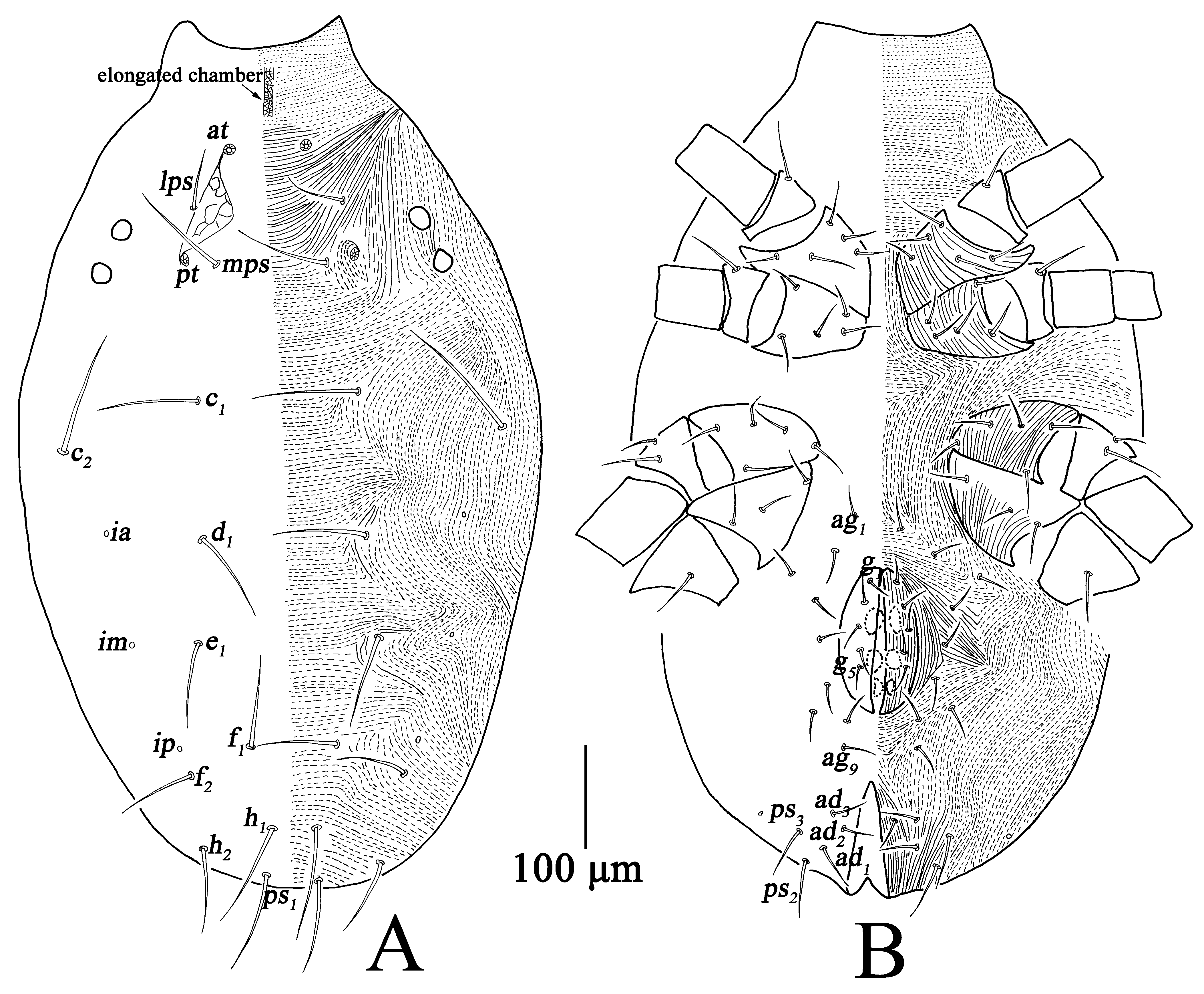 Insects 13 01080 g005