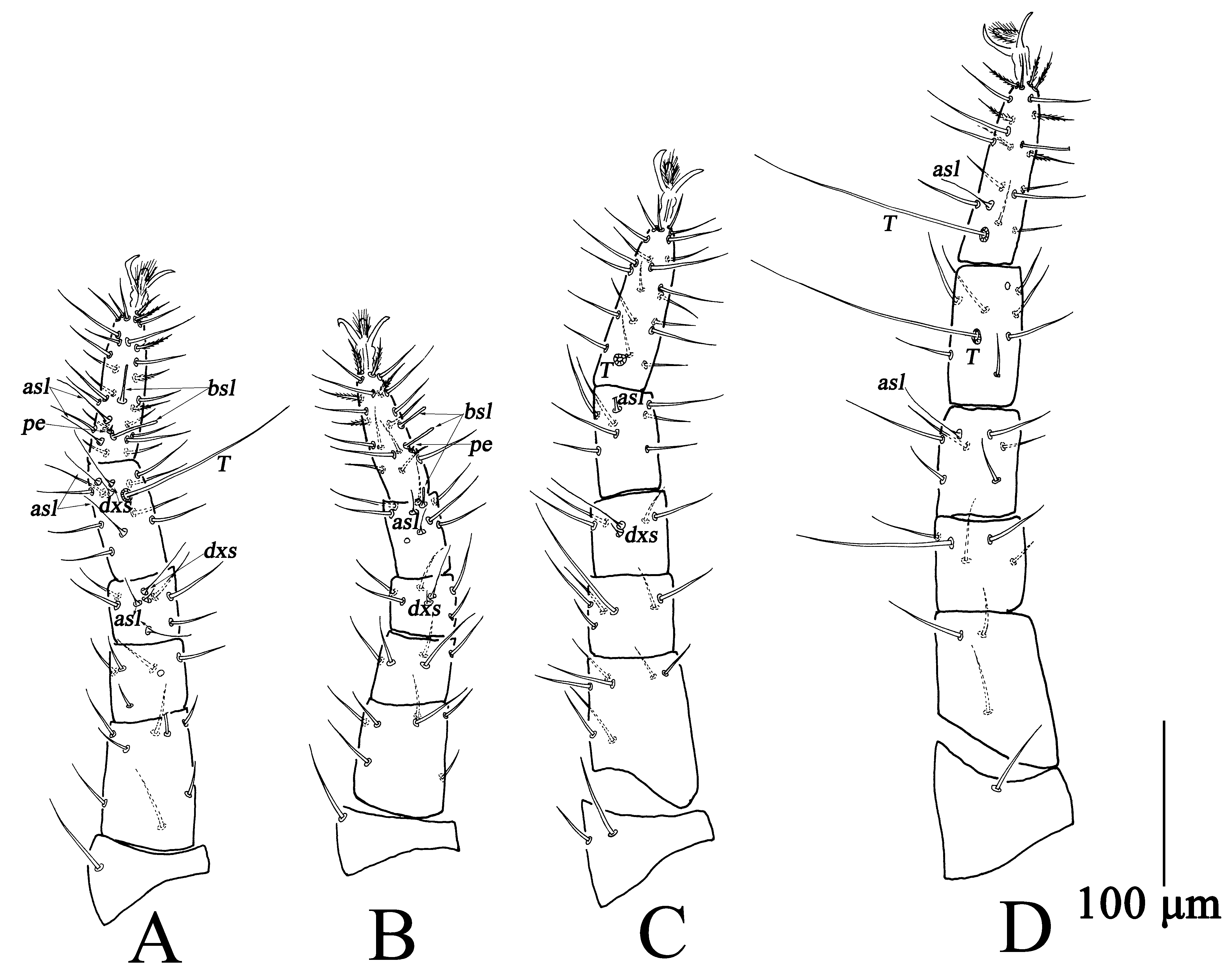 Insects 13 01080 g006
