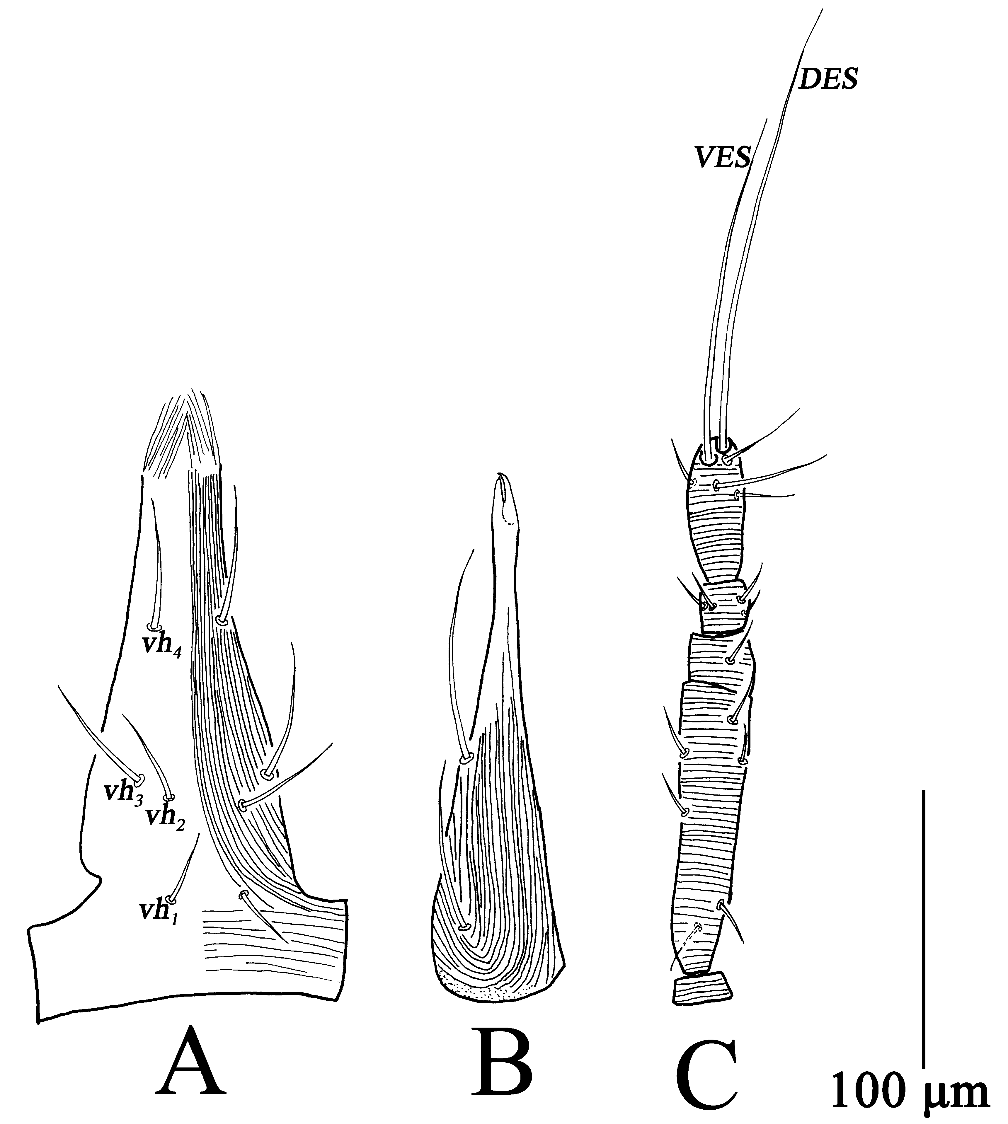 Insects 13 01080 g007